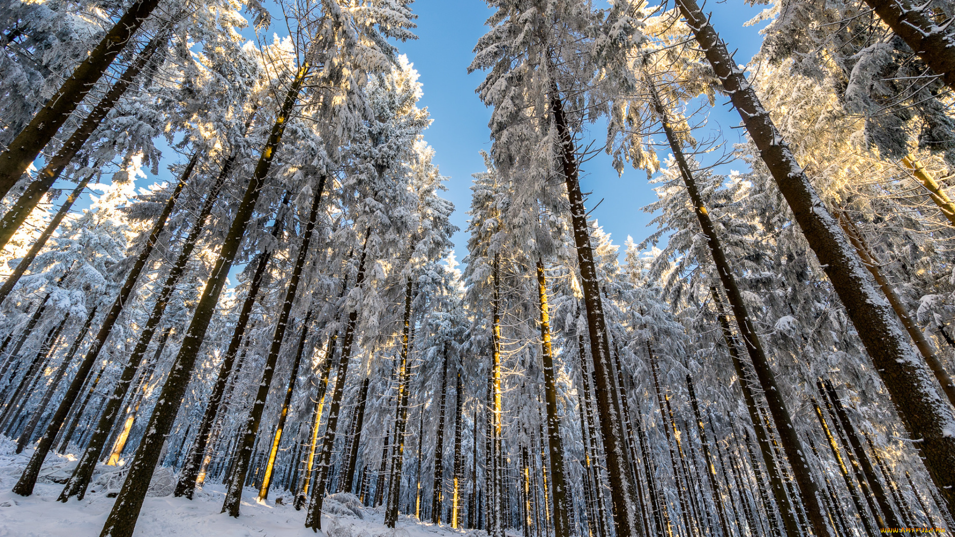 природа, зима, снег