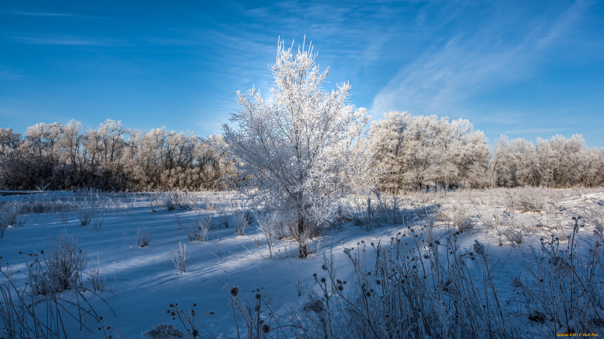 природа, зима, снег