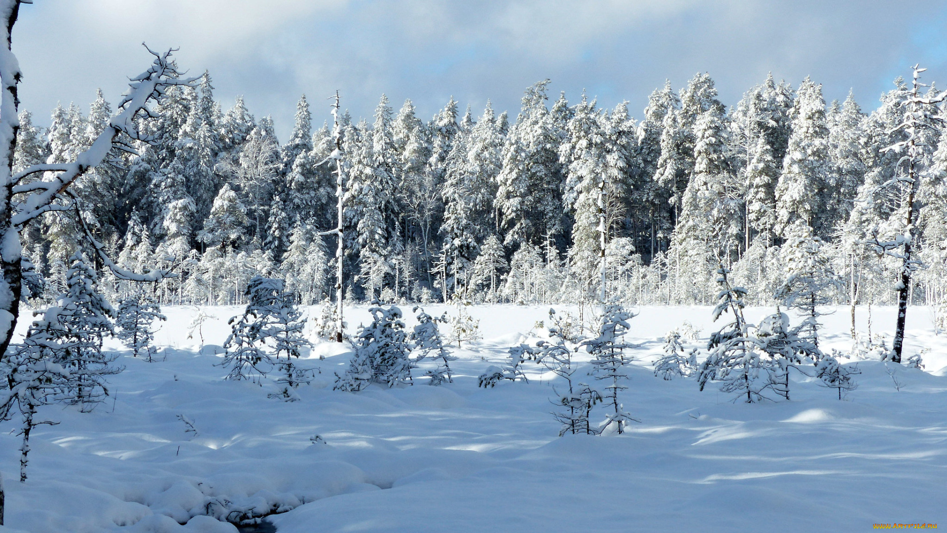 природа, зима, снег