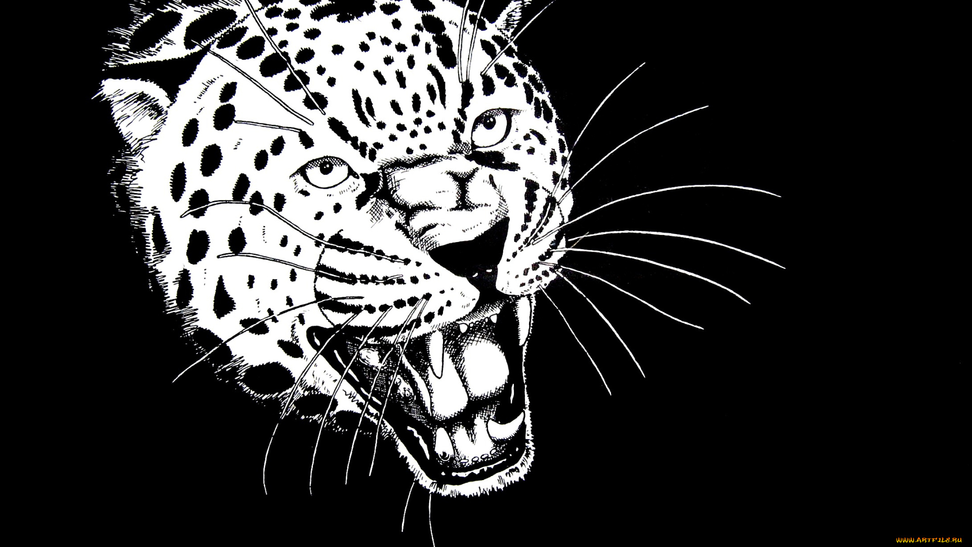 рисованное, животные, , ягуары, , леопарды, голова, хищник, зверь, рев, ягуар