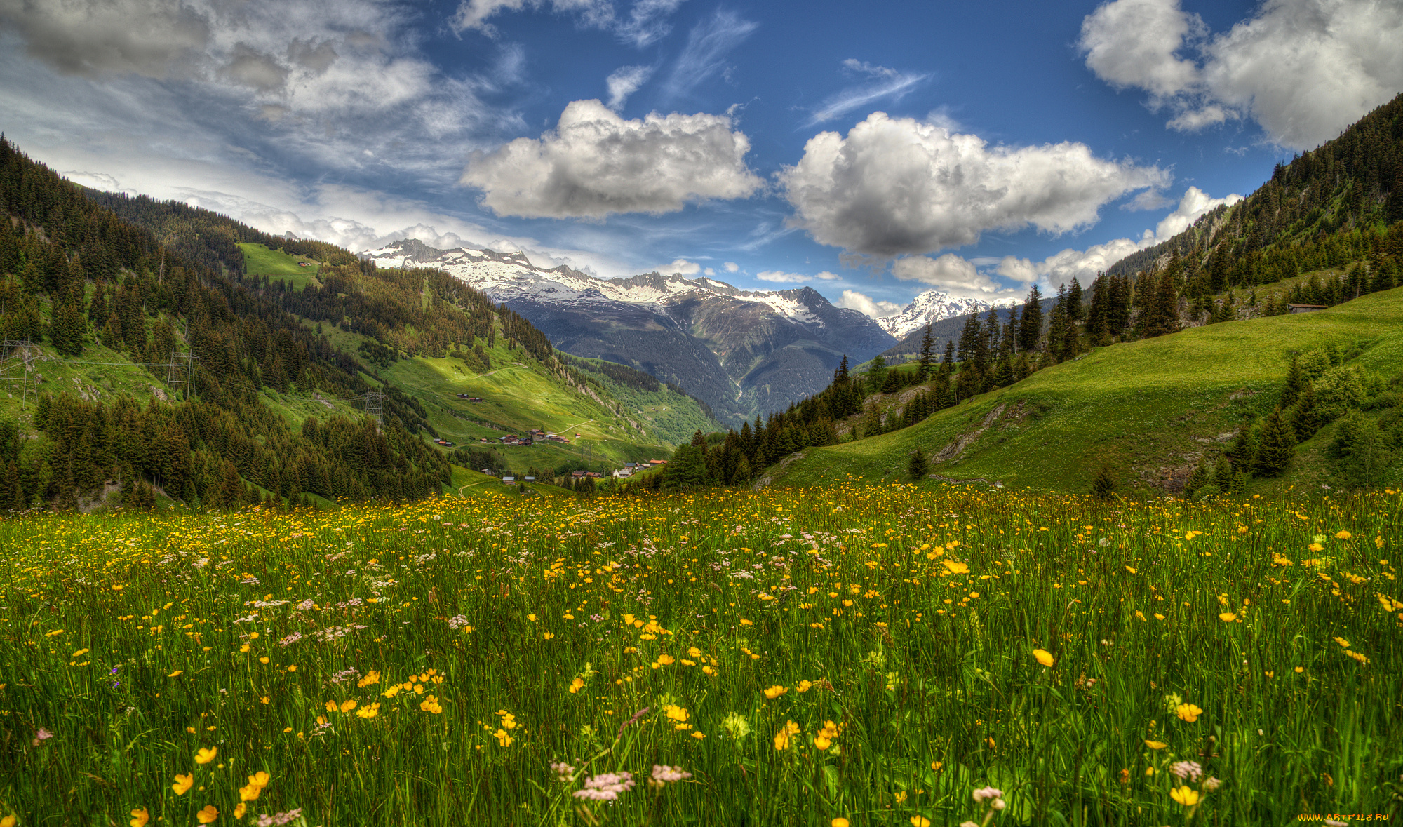 природа, луга, простор