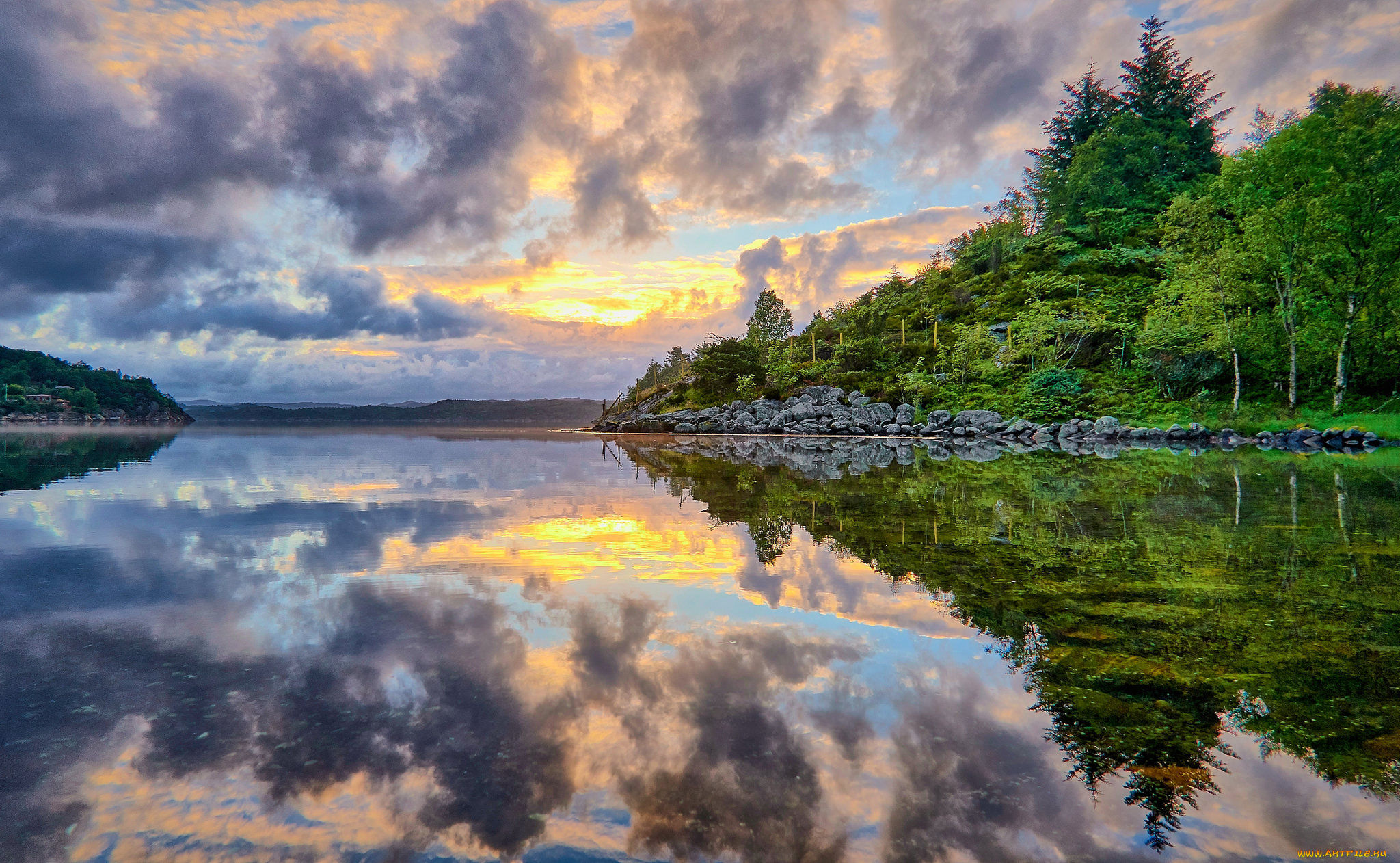 природа, реки, озера, река, лес