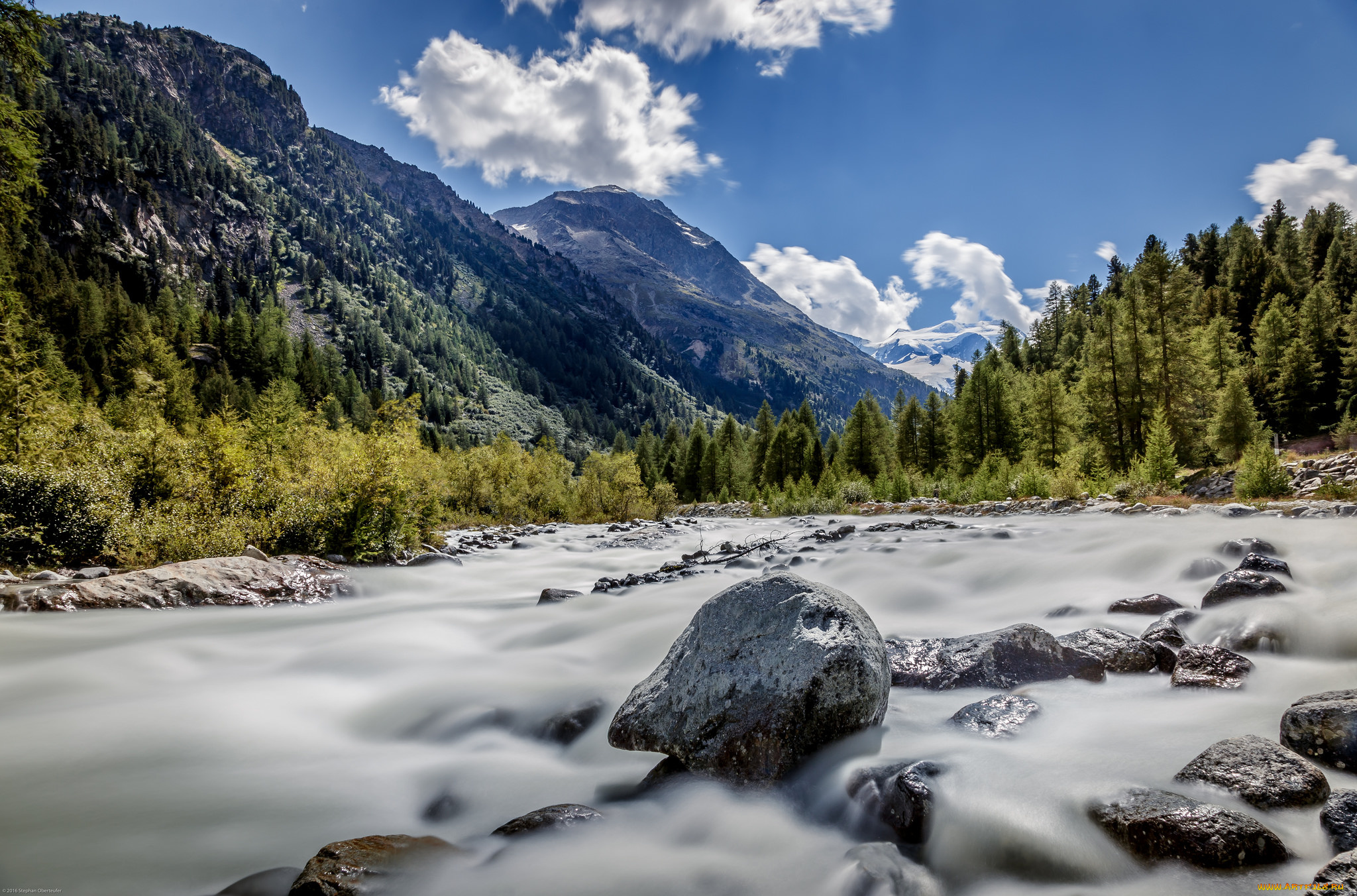 природа, реки, озера, река, лес