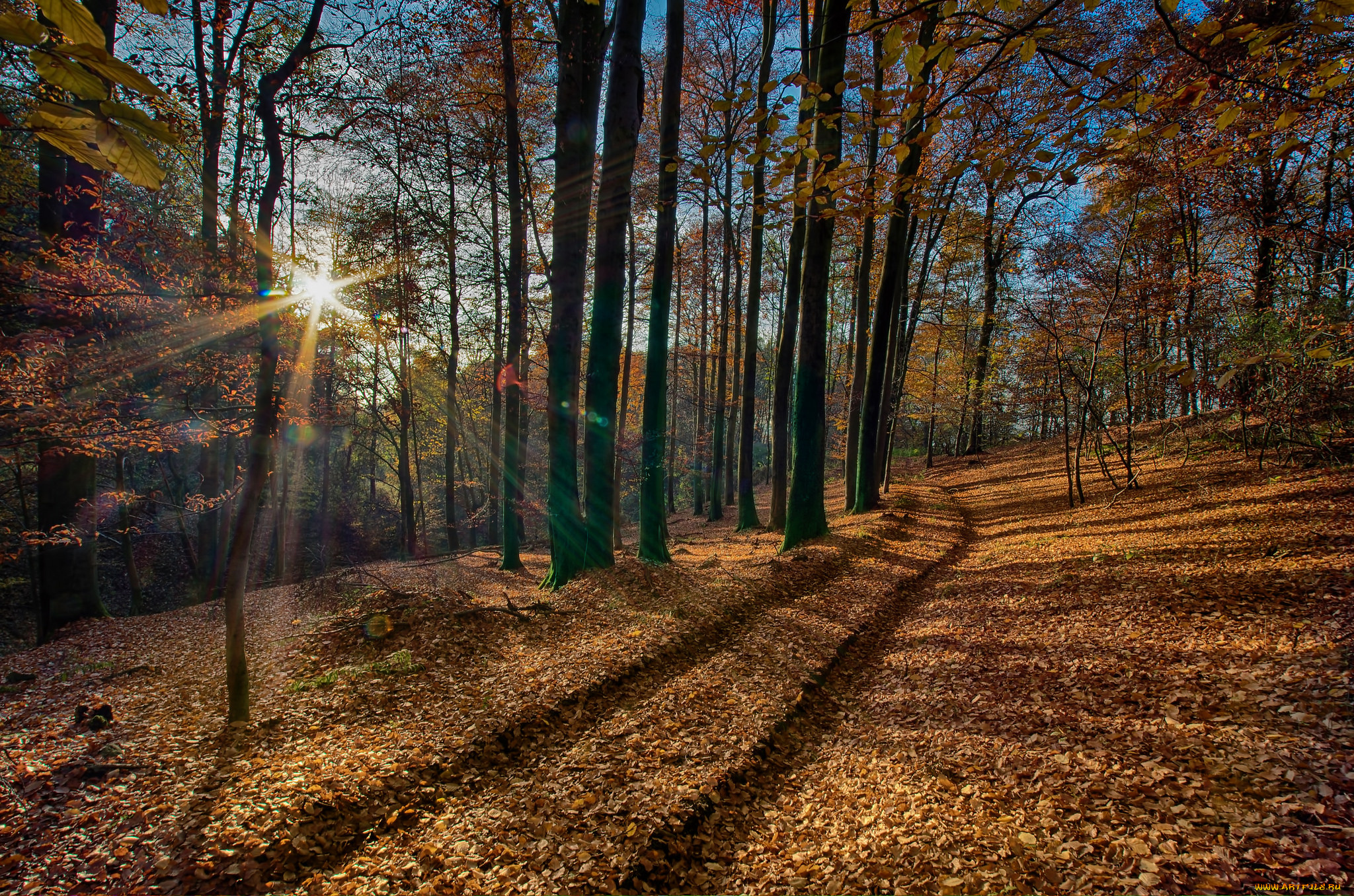 природа, дороги, тракт