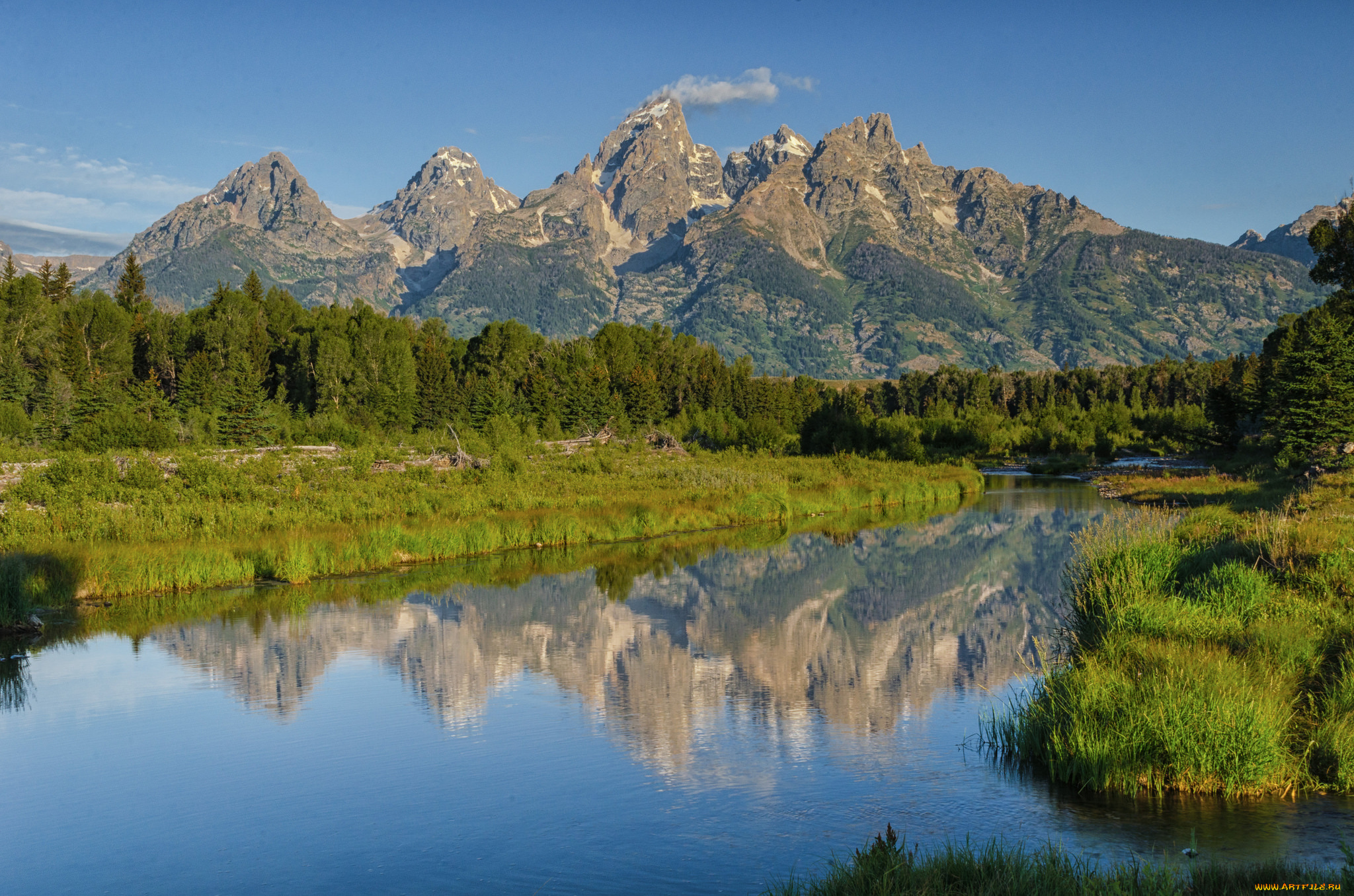 природа, реки, озера, река, лес
