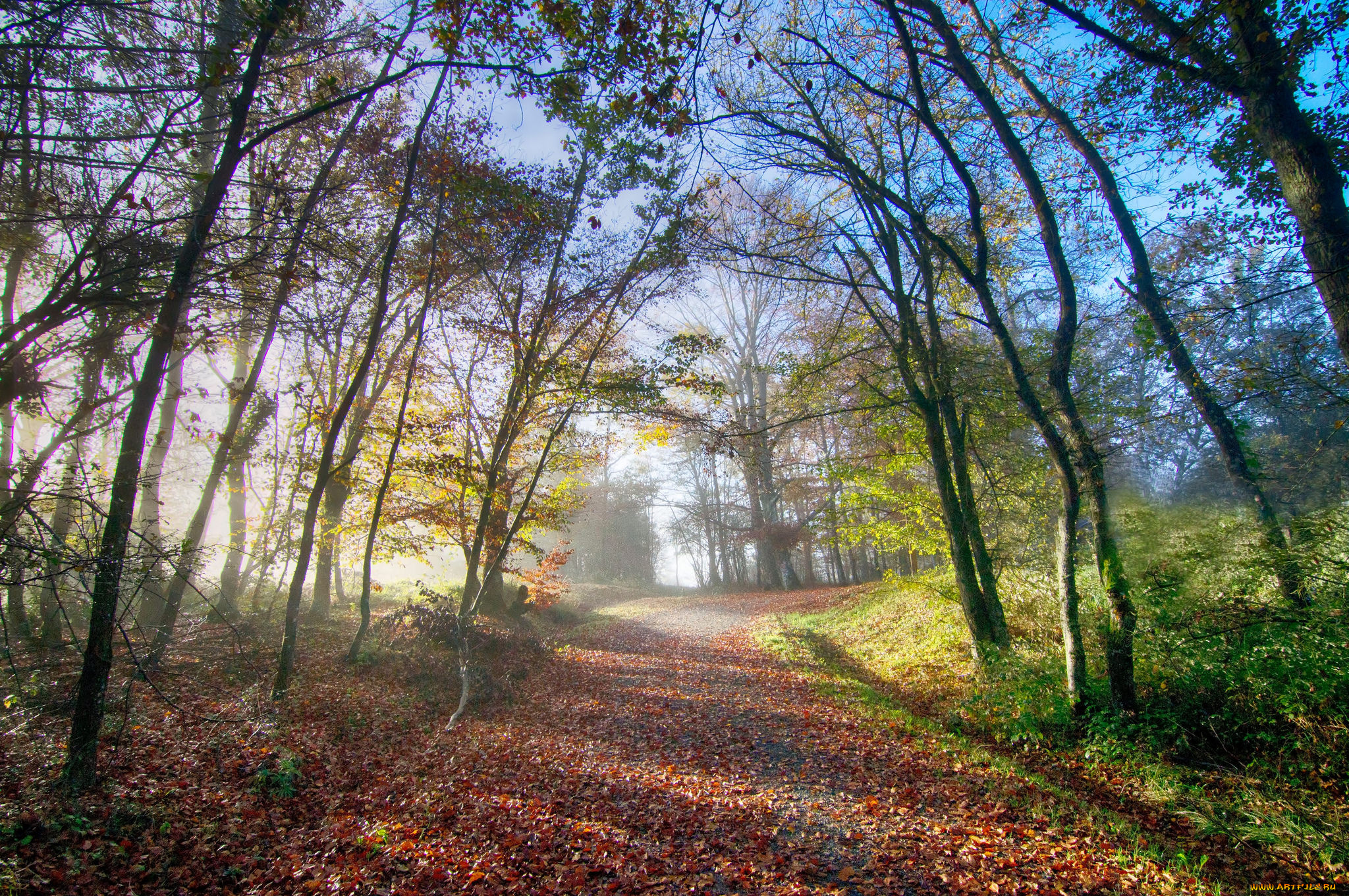 природа, дороги, тракт