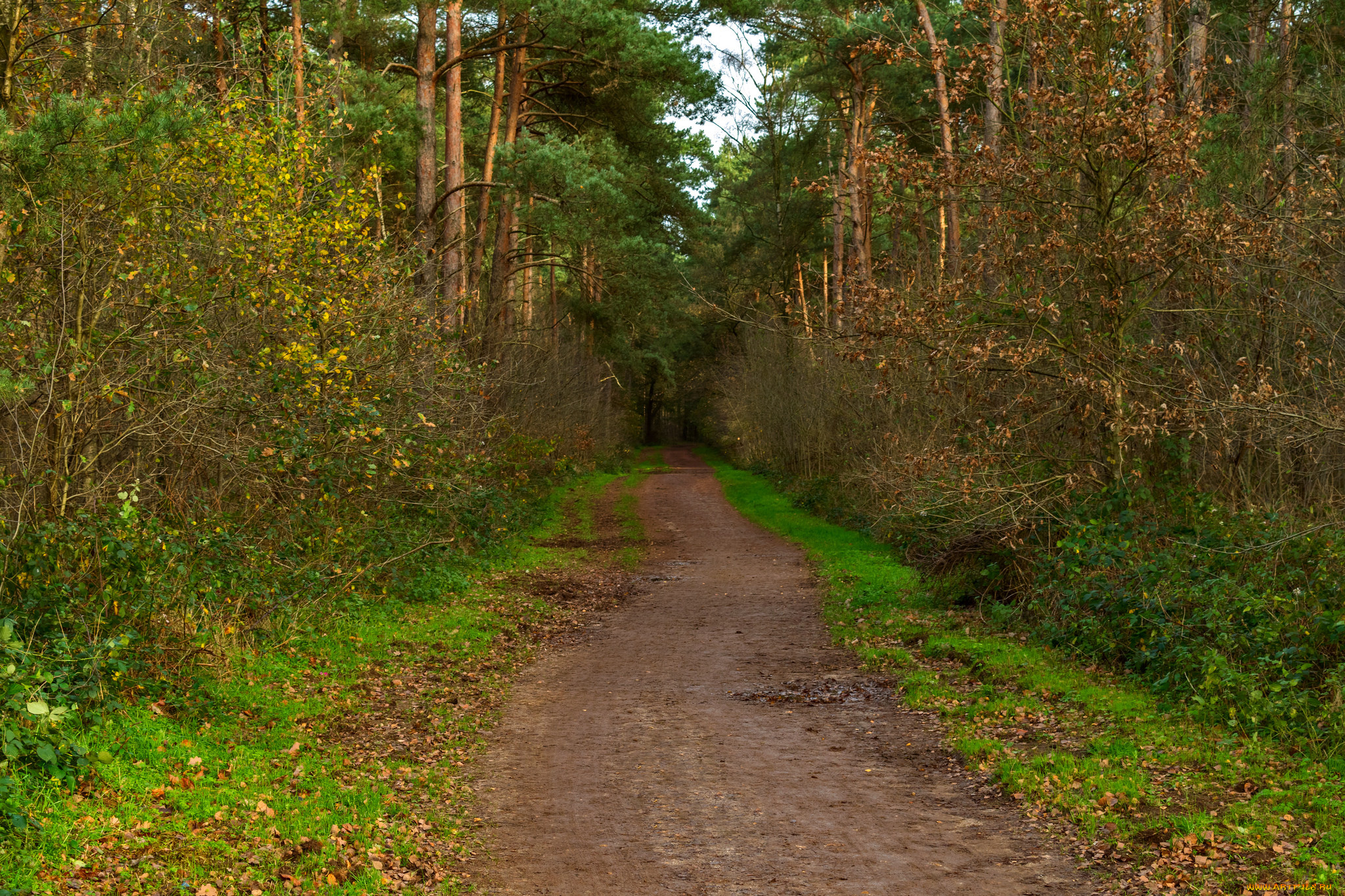 природа, дороги, тракт