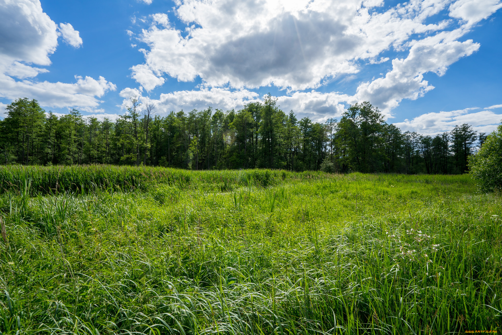 природа, пейзажи, простор
