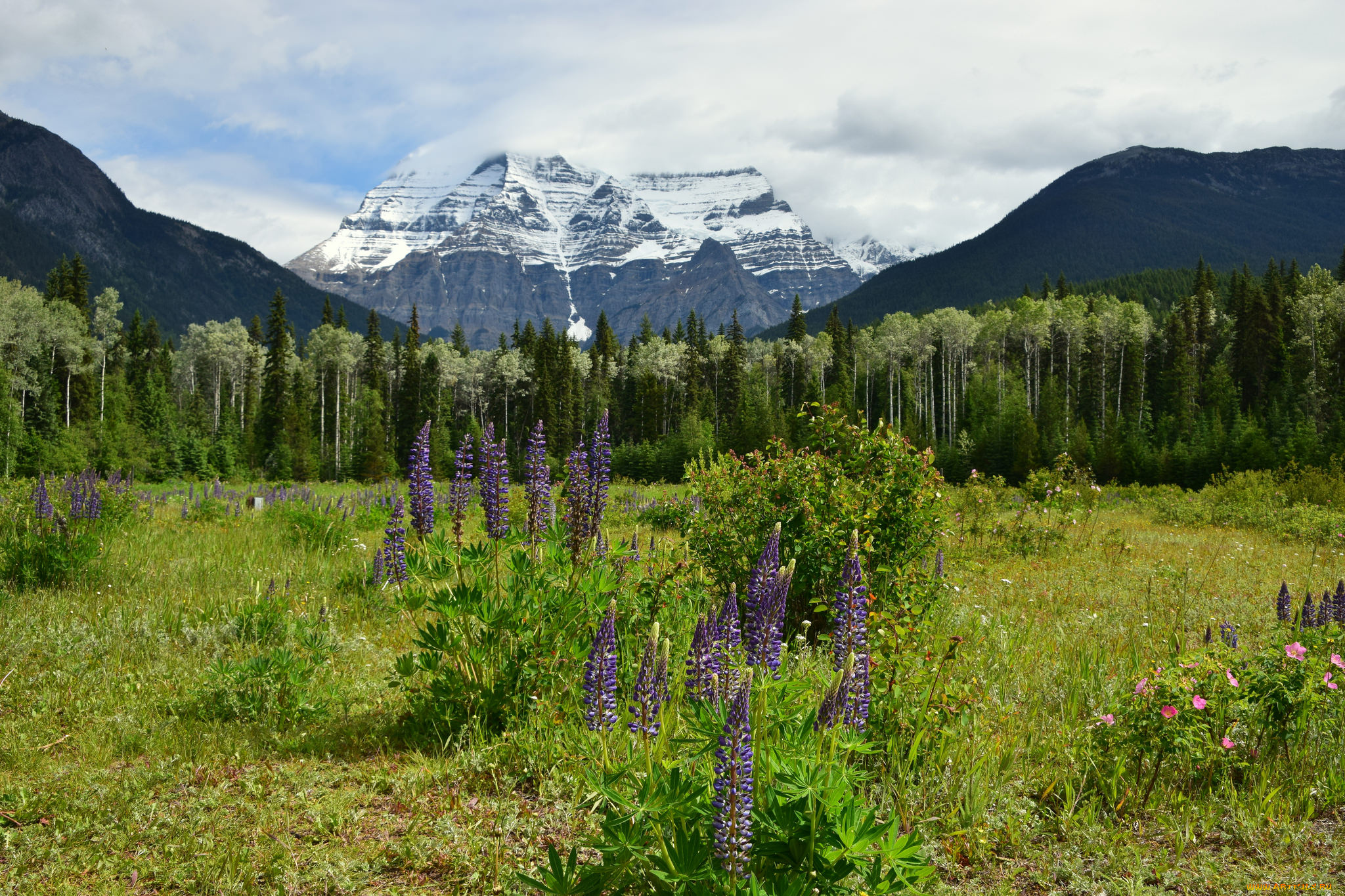 природа, пейзажи, скалы