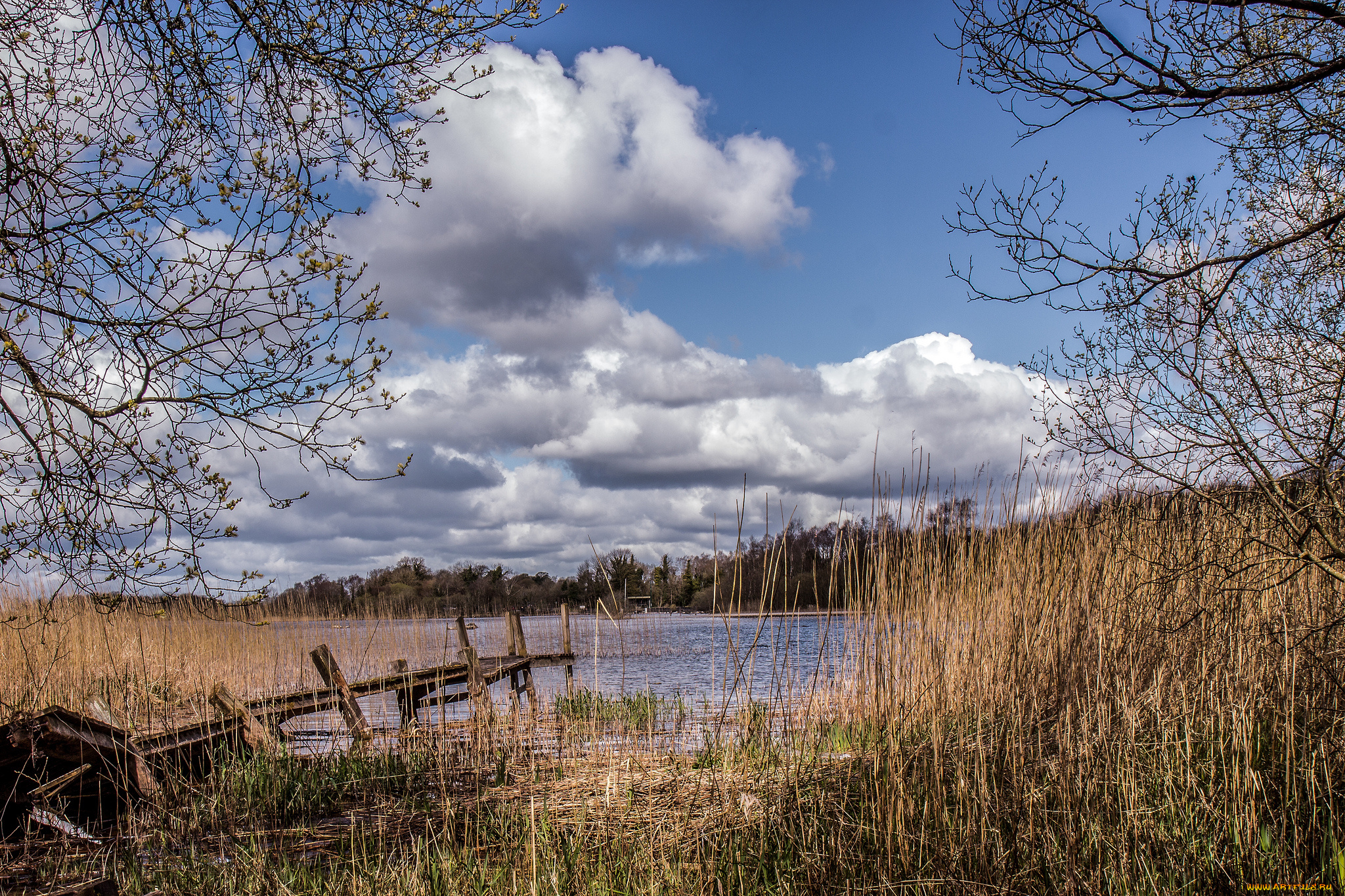 природа, реки, озера, лес, река