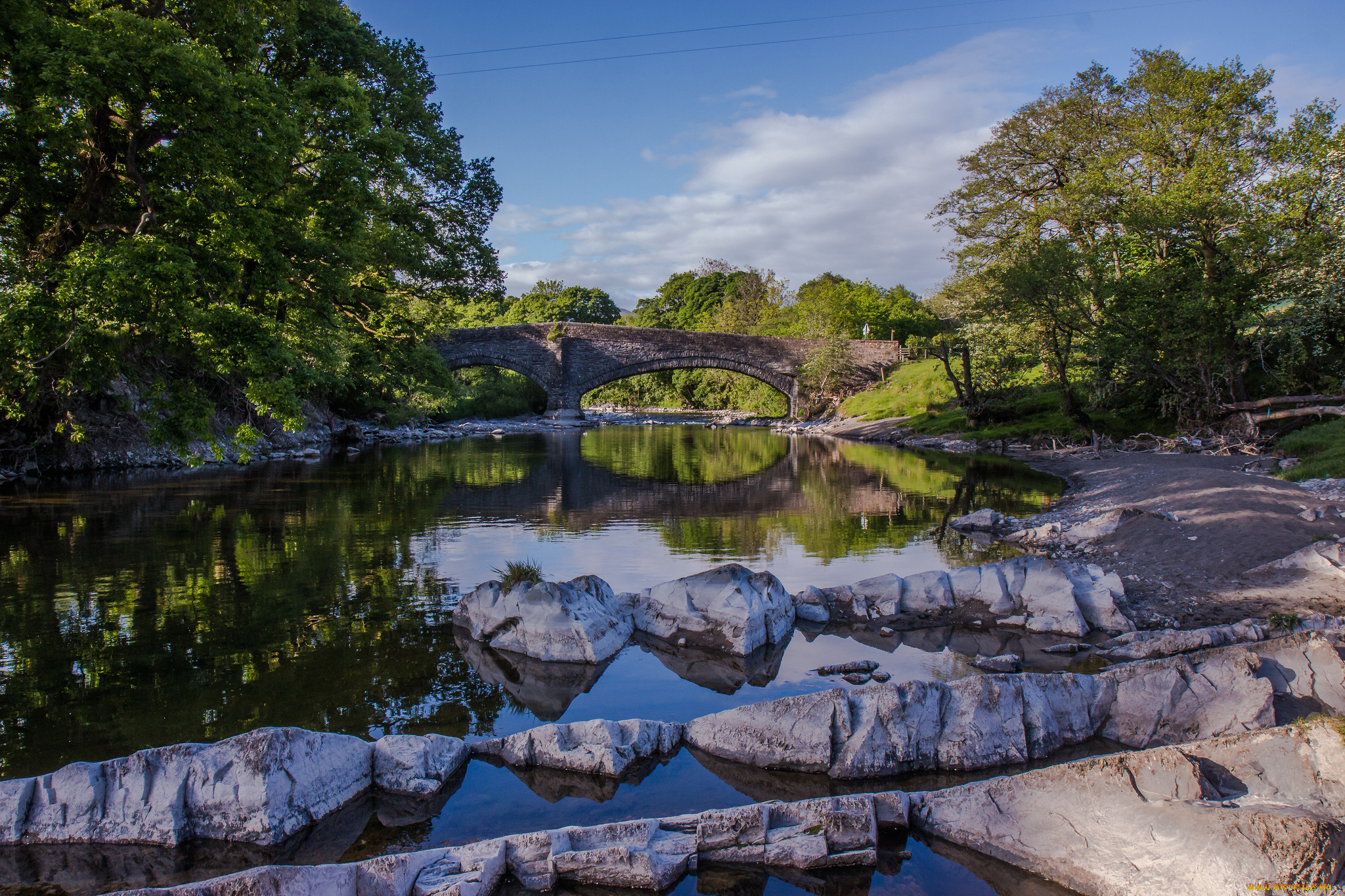 природа, реки, озера, лес, река