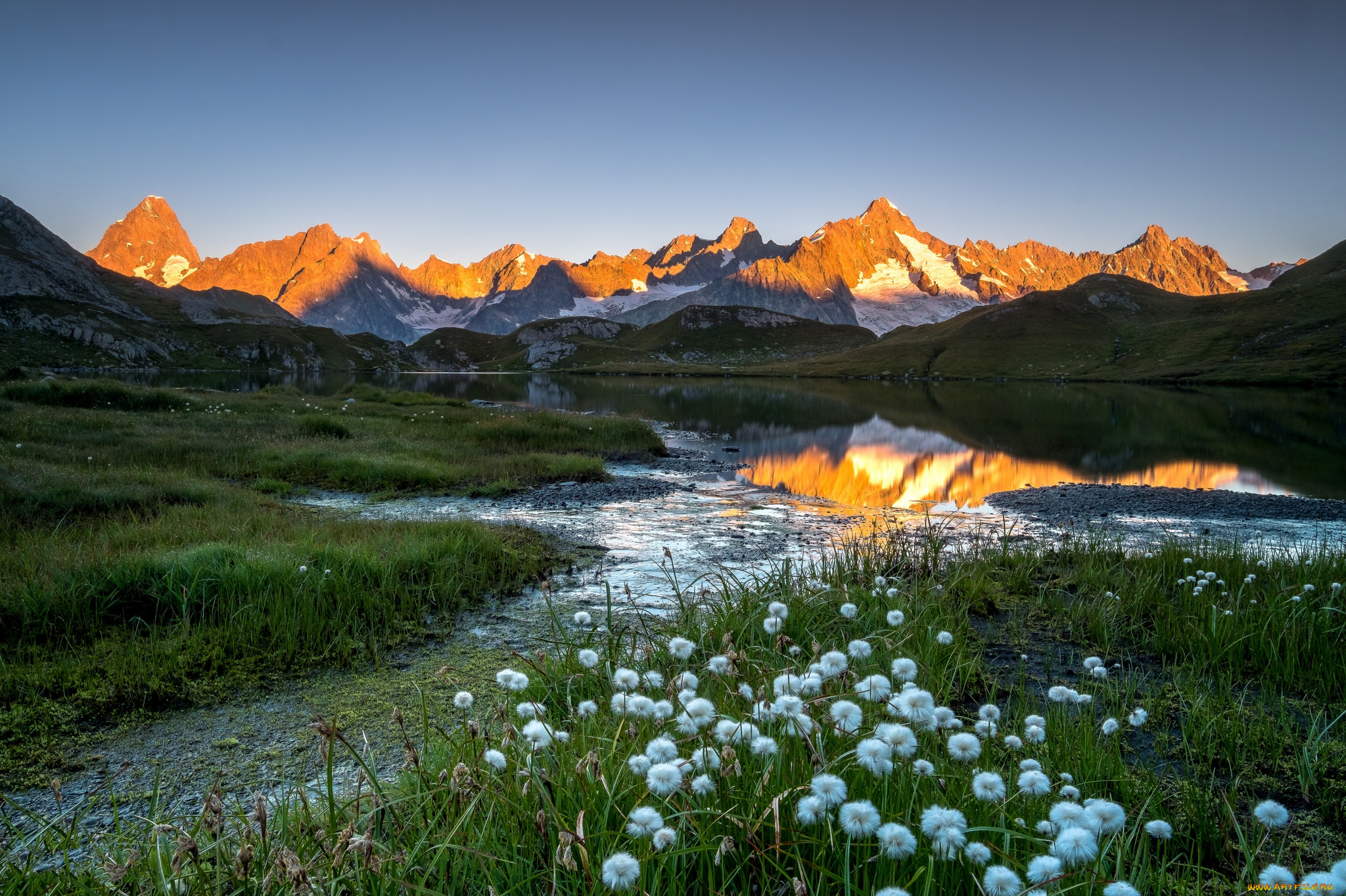 природа, реки, озера, река, лес