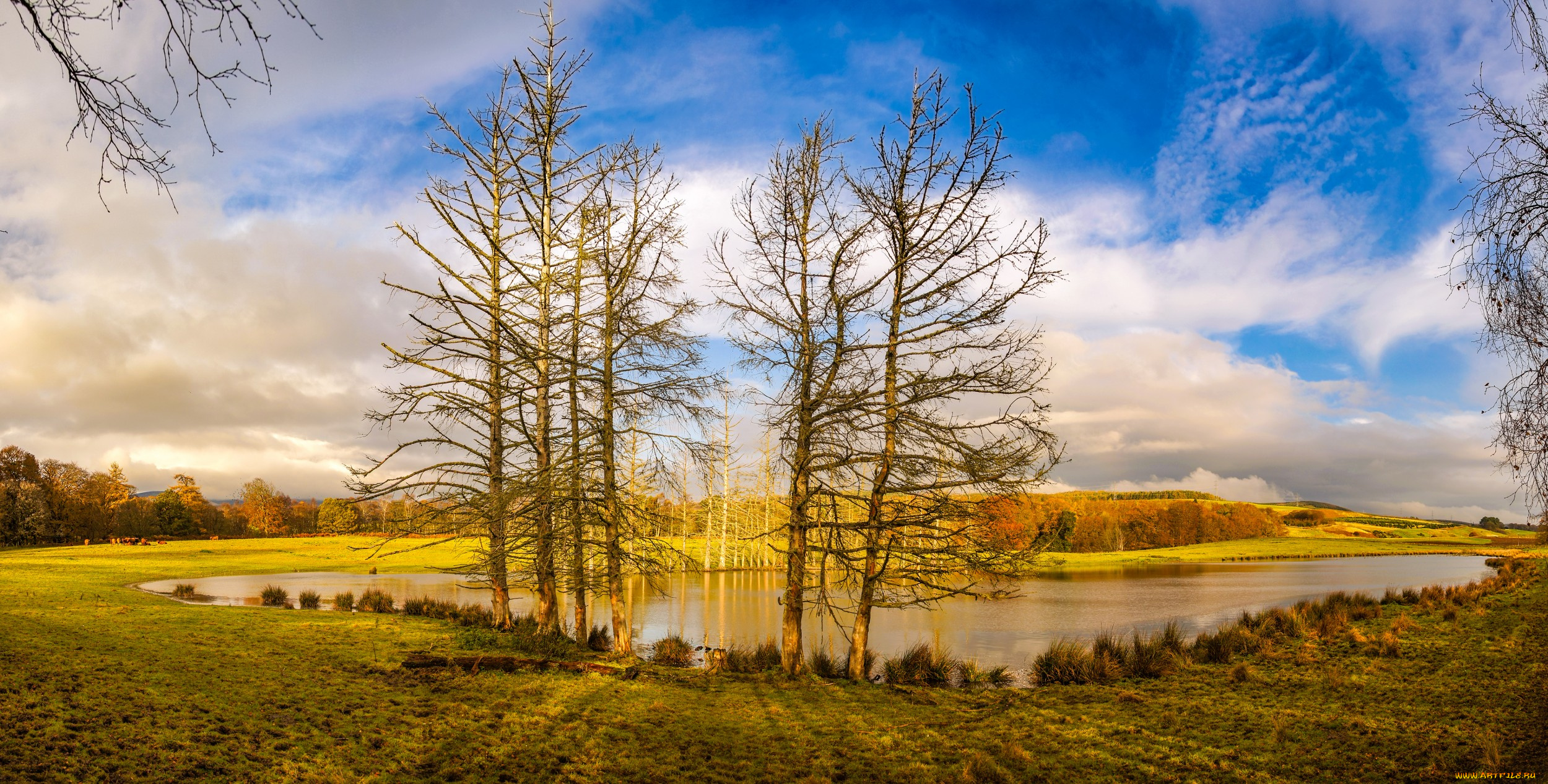 природа, реки, озера, река, лес