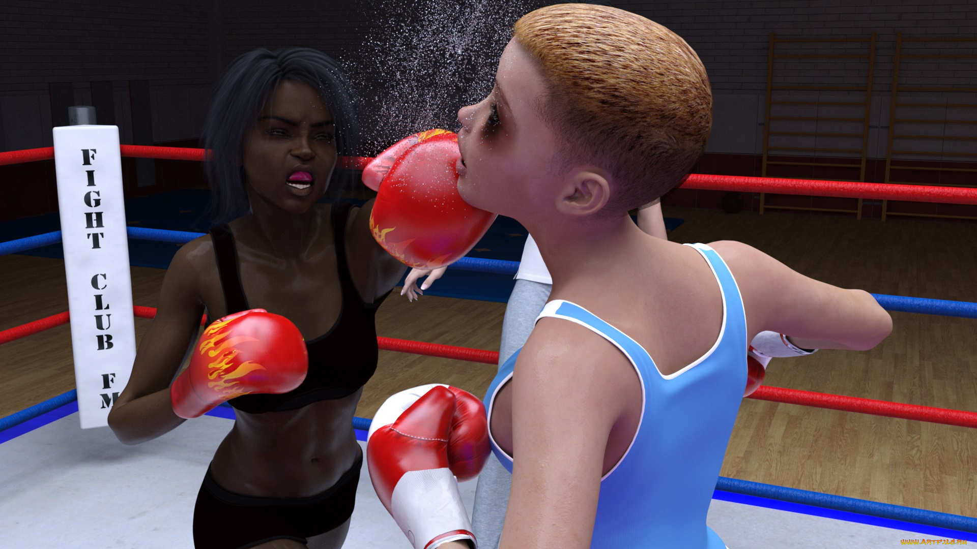3д, графика, спорт, , sport, бокс, ринг, фон, взгляд, девушки