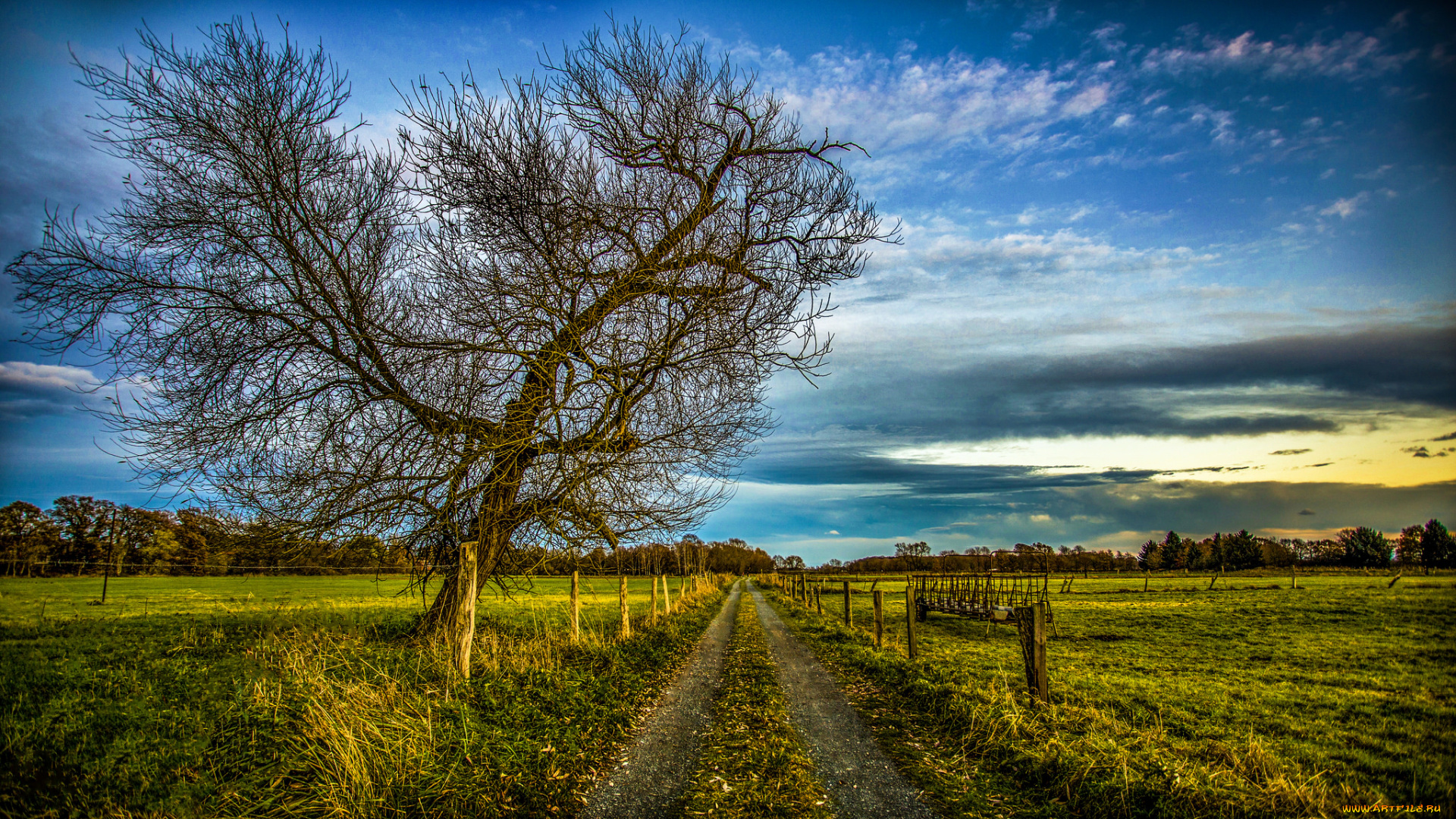 природа, дороги, простор