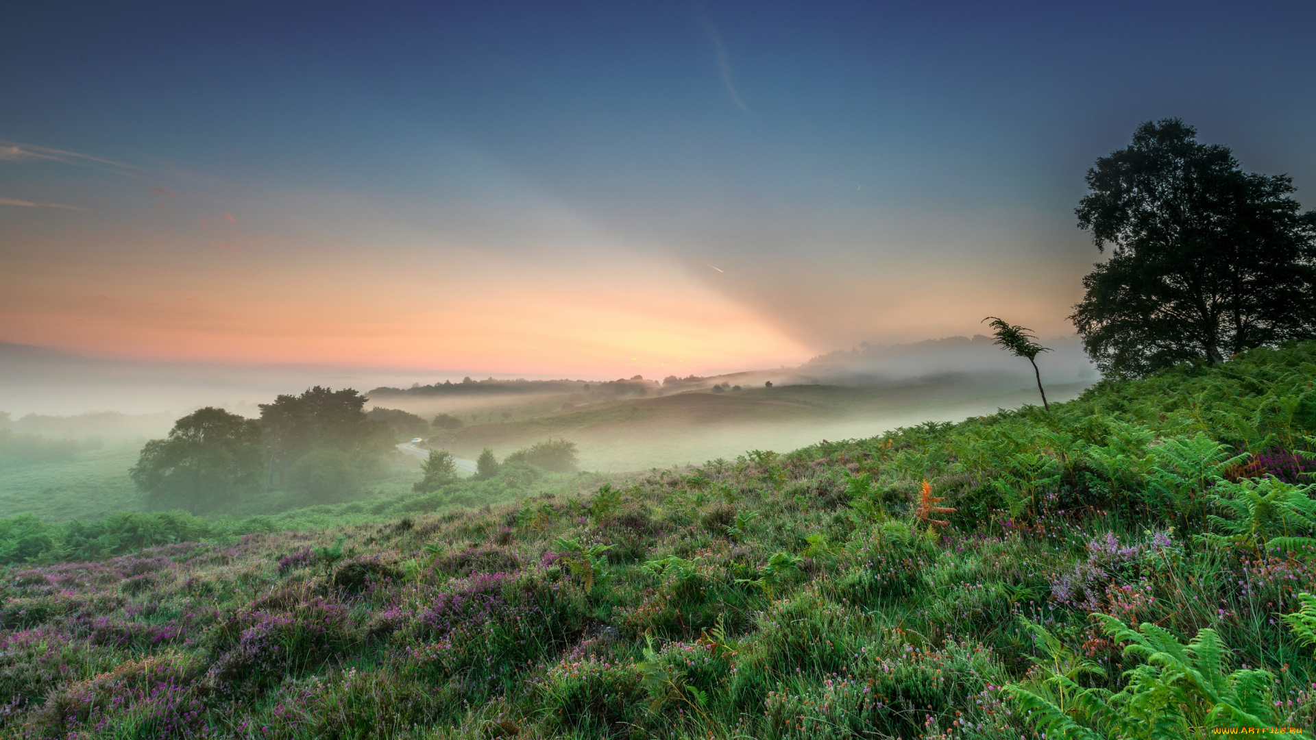 природа, пейзажи, простор