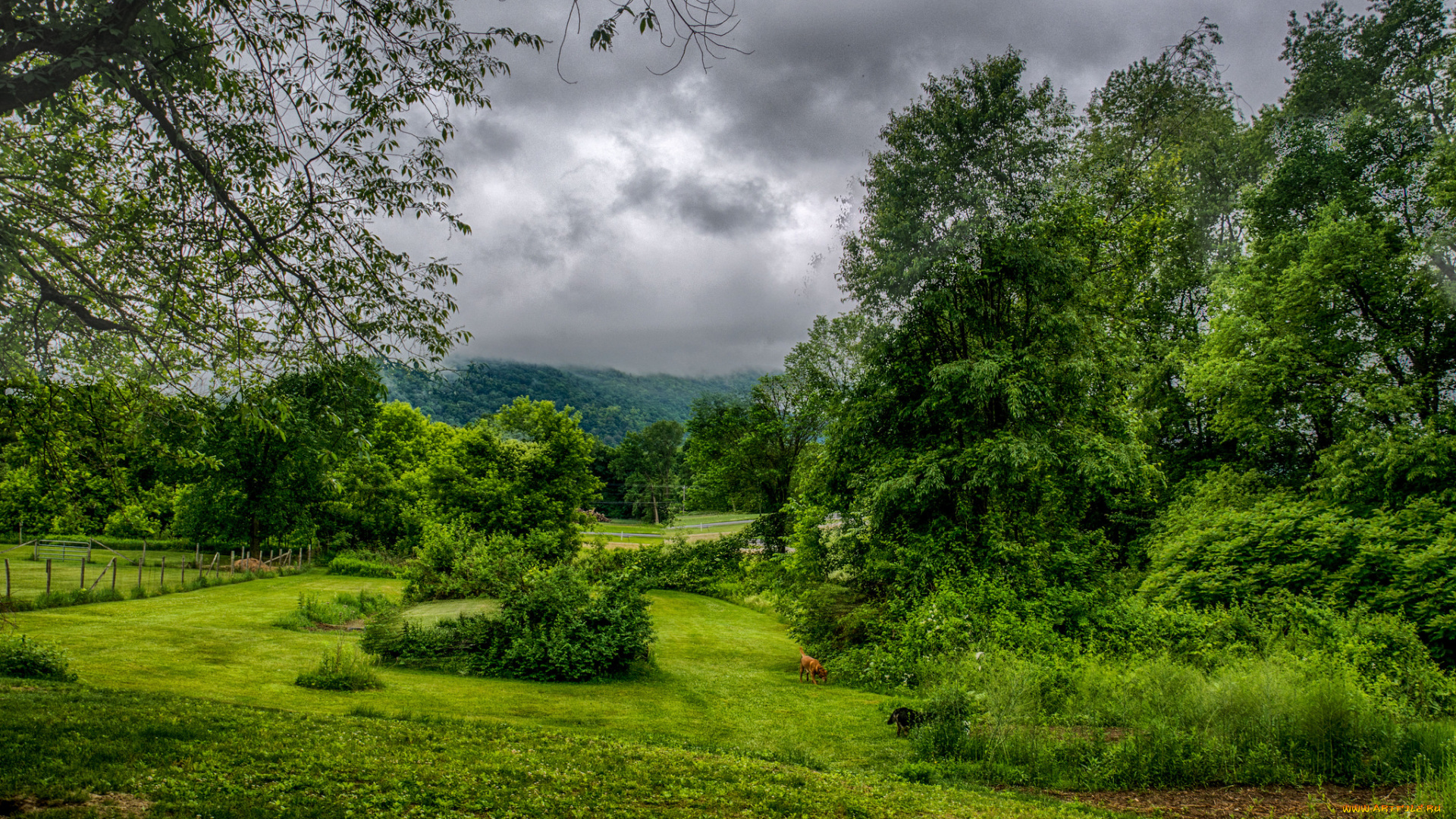 природа, пейзажи, простор