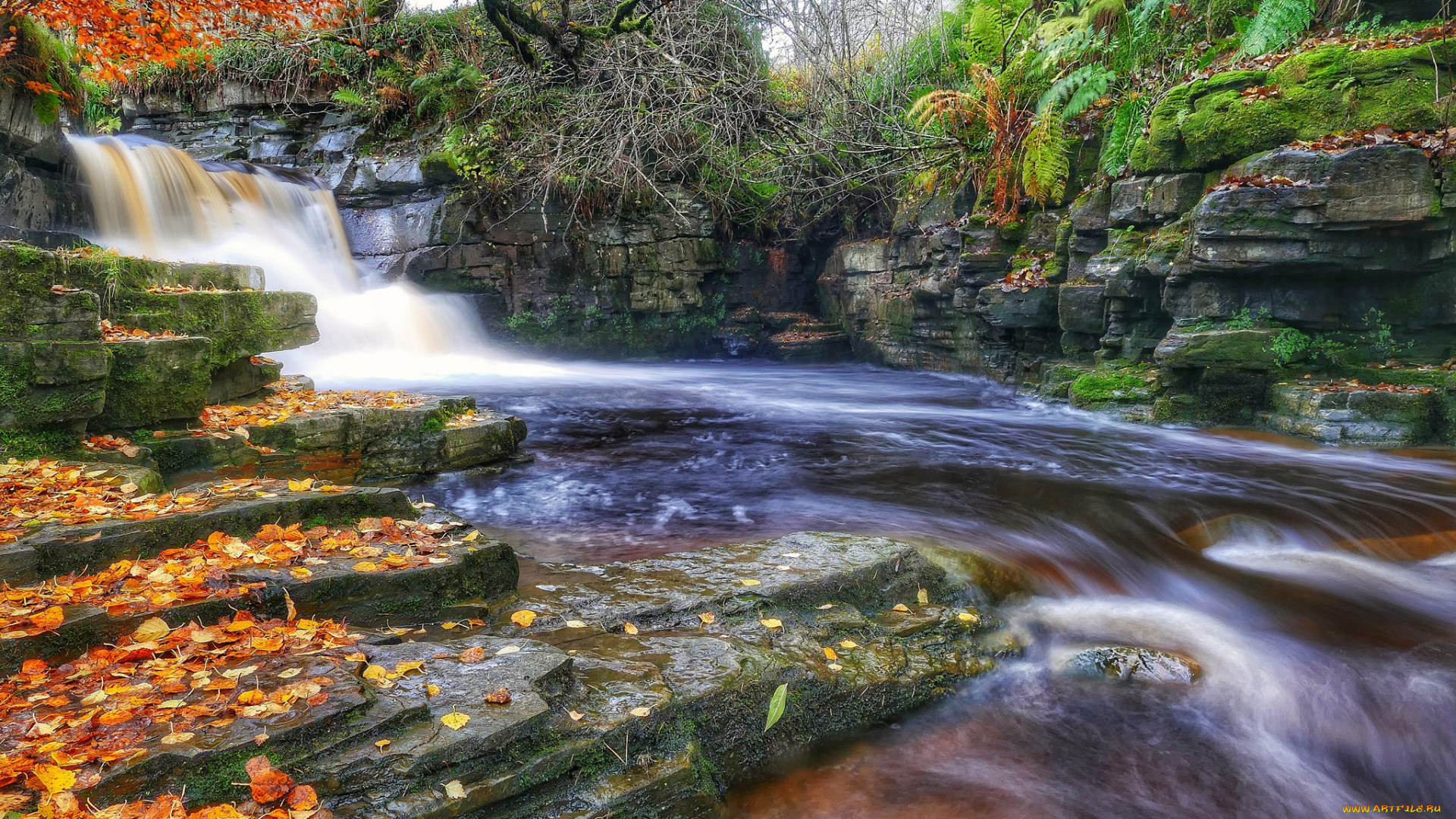 природа, реки, озера, простор