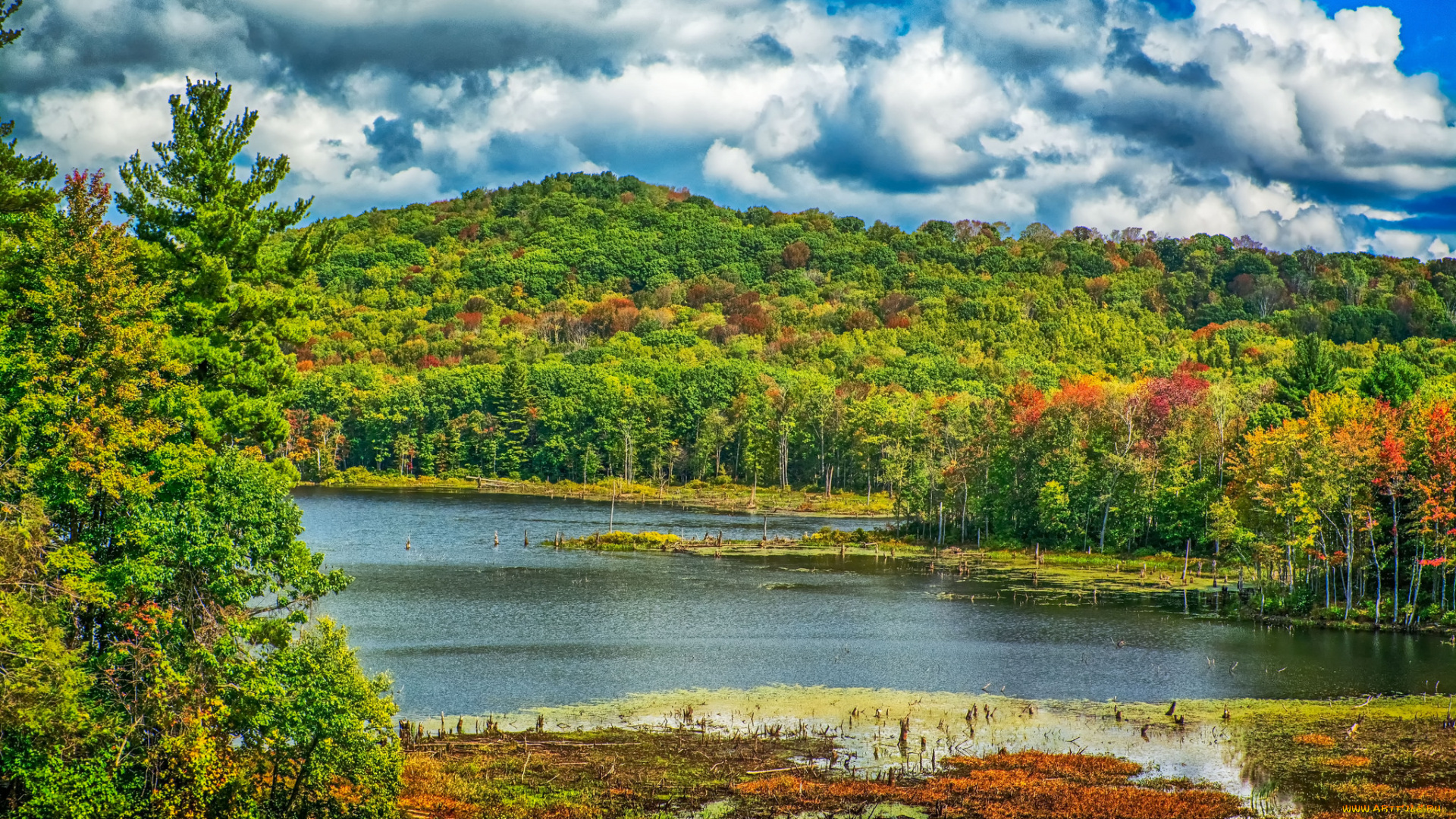 природа, реки, озера, простор