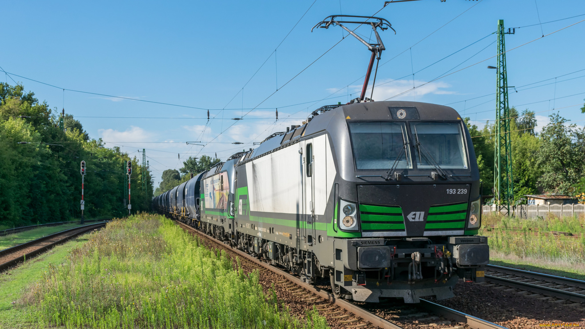 техника, электровозы, локомотив, состав