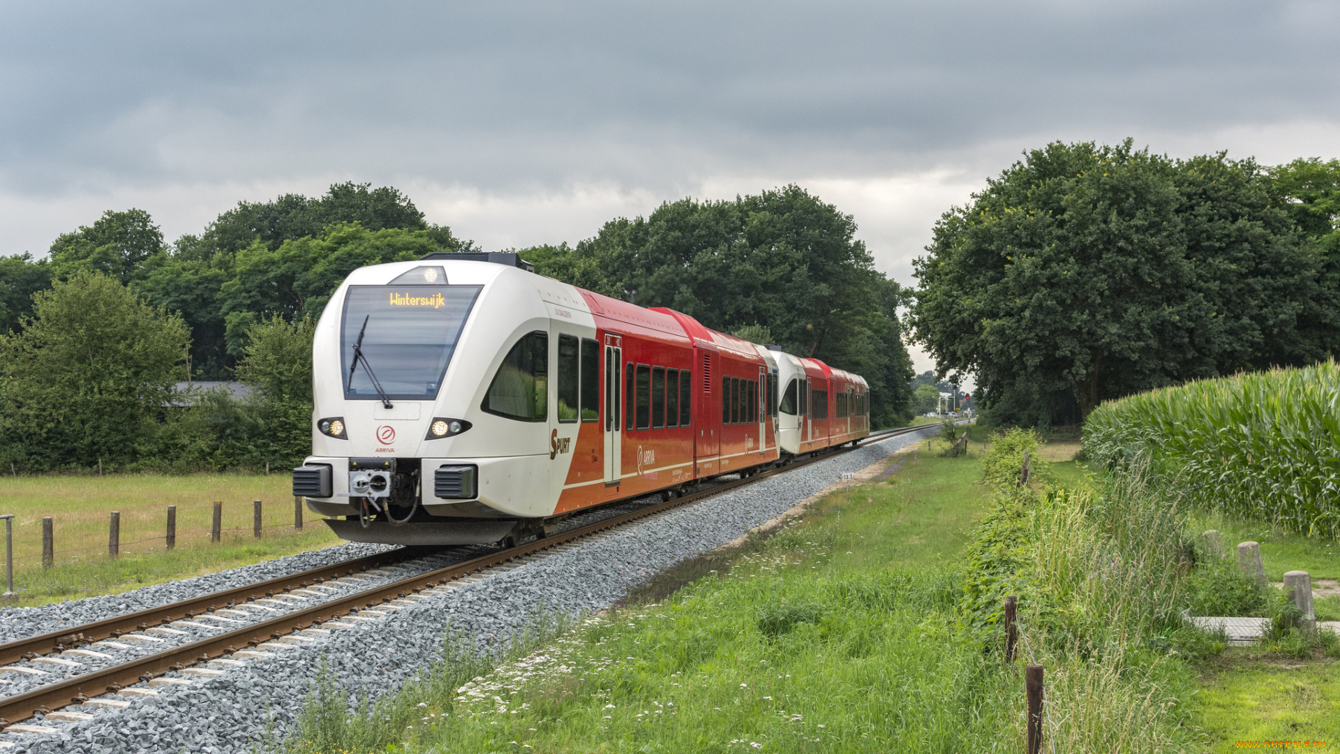 техника, поезда, локомотив, состав