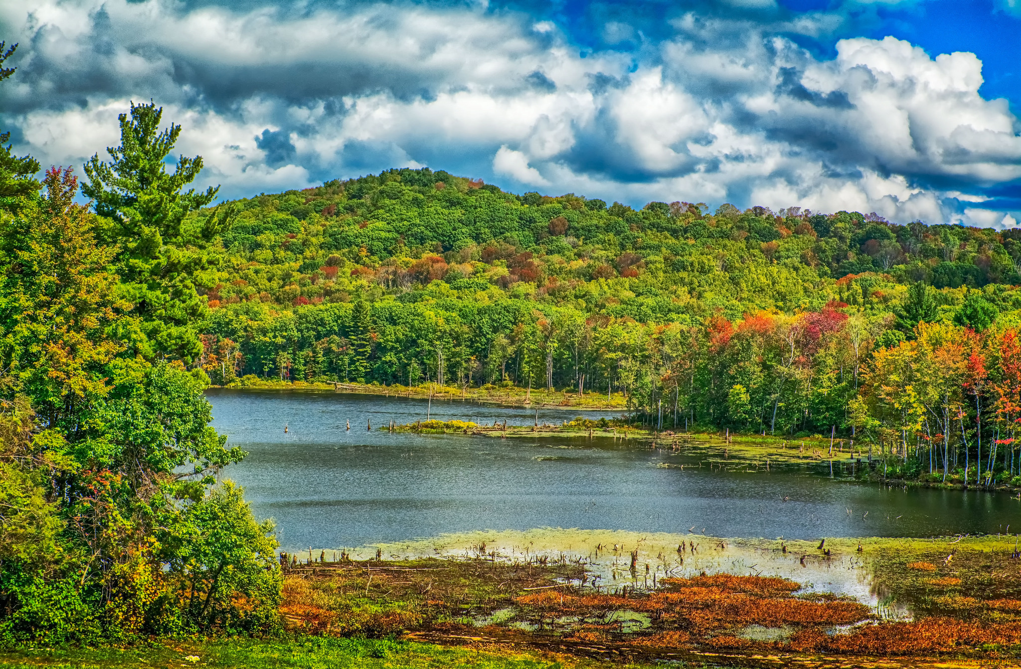 природа, реки, озера, простор