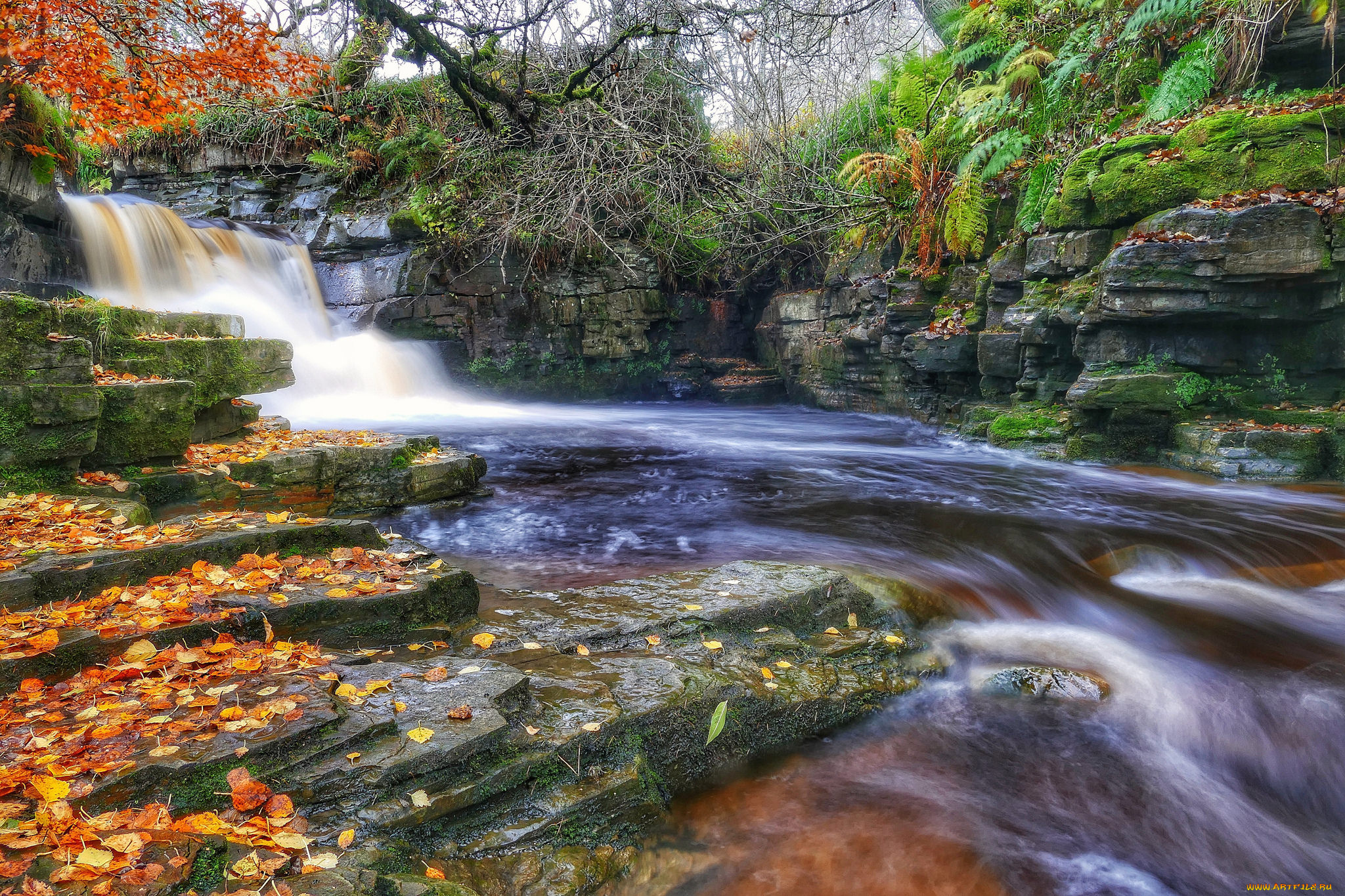 природа, реки, озера, простор