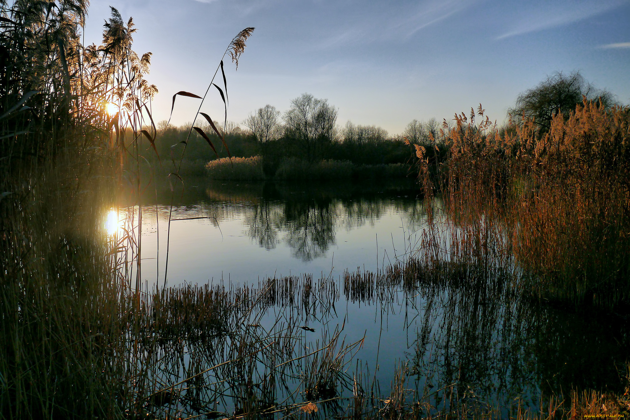 природа, реки, озера, простор