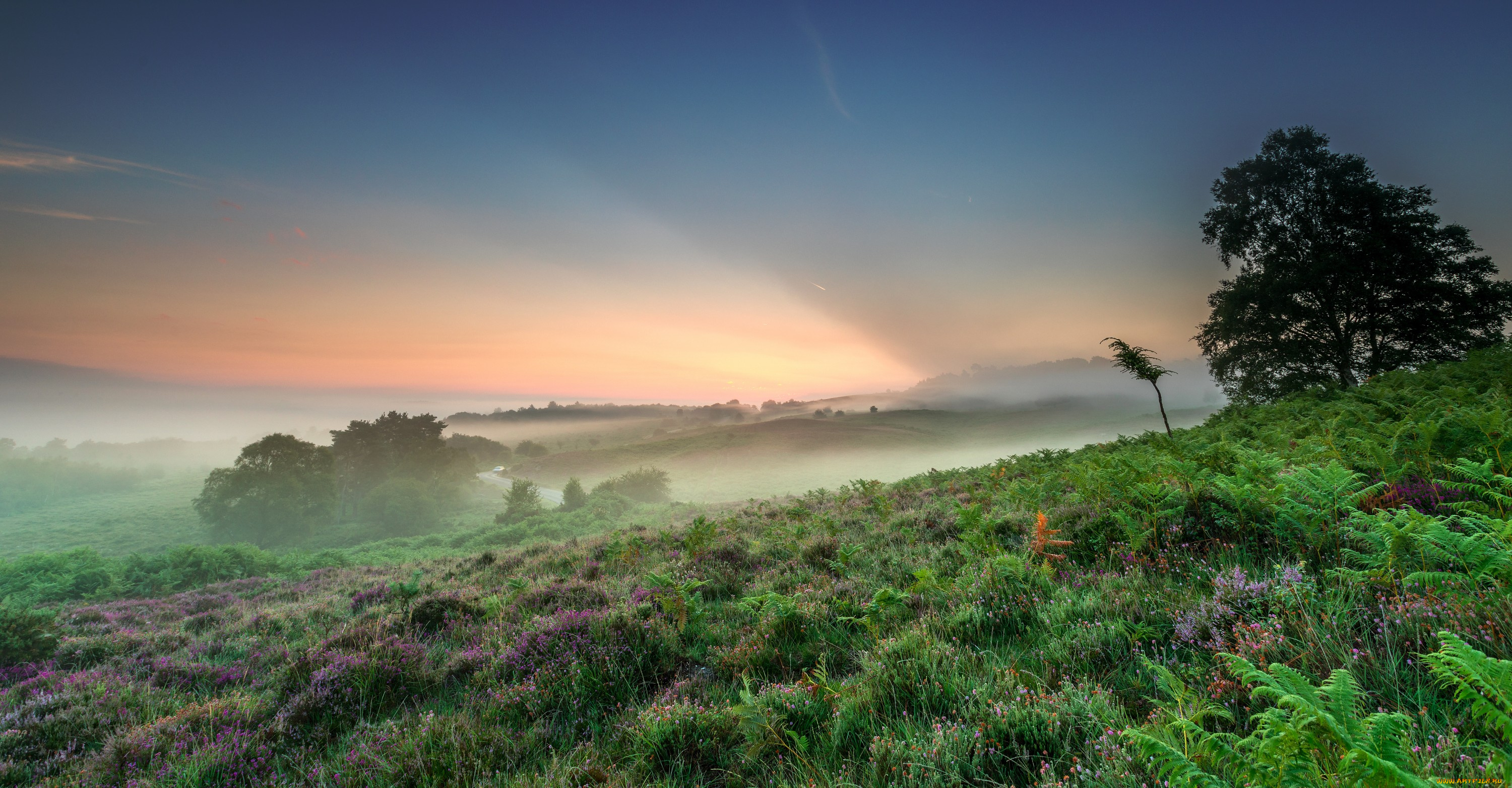 природа, пейзажи, простор