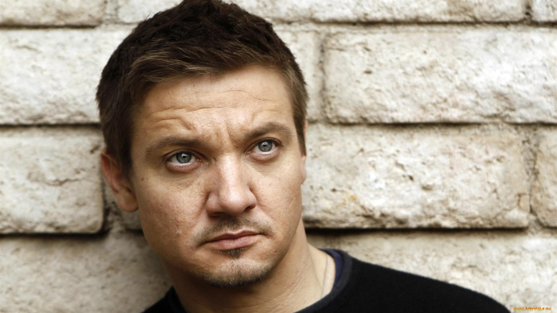 мужчины, jeremy, renner, взгляд