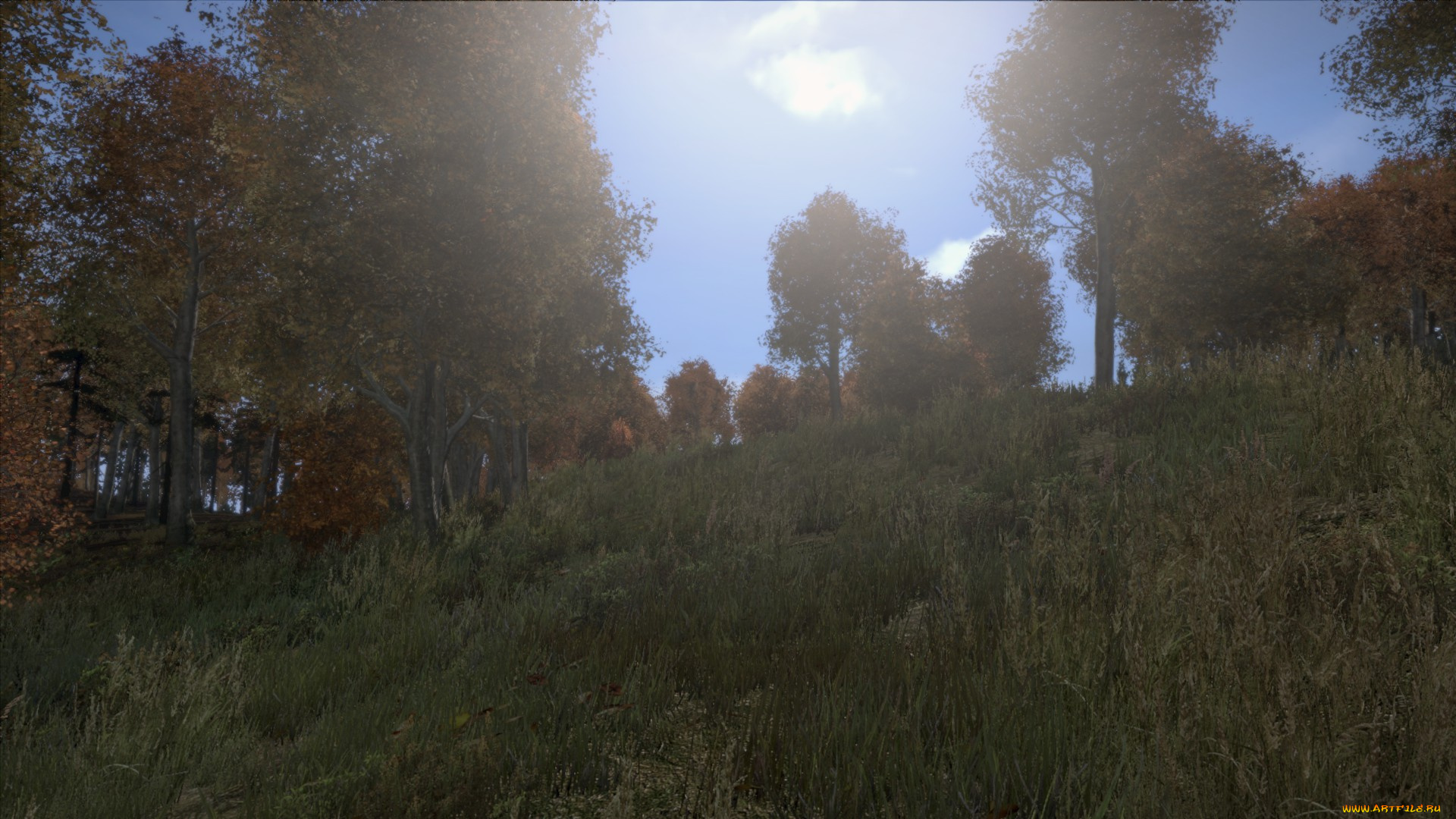 видео, игры, dayz, standalone, игра