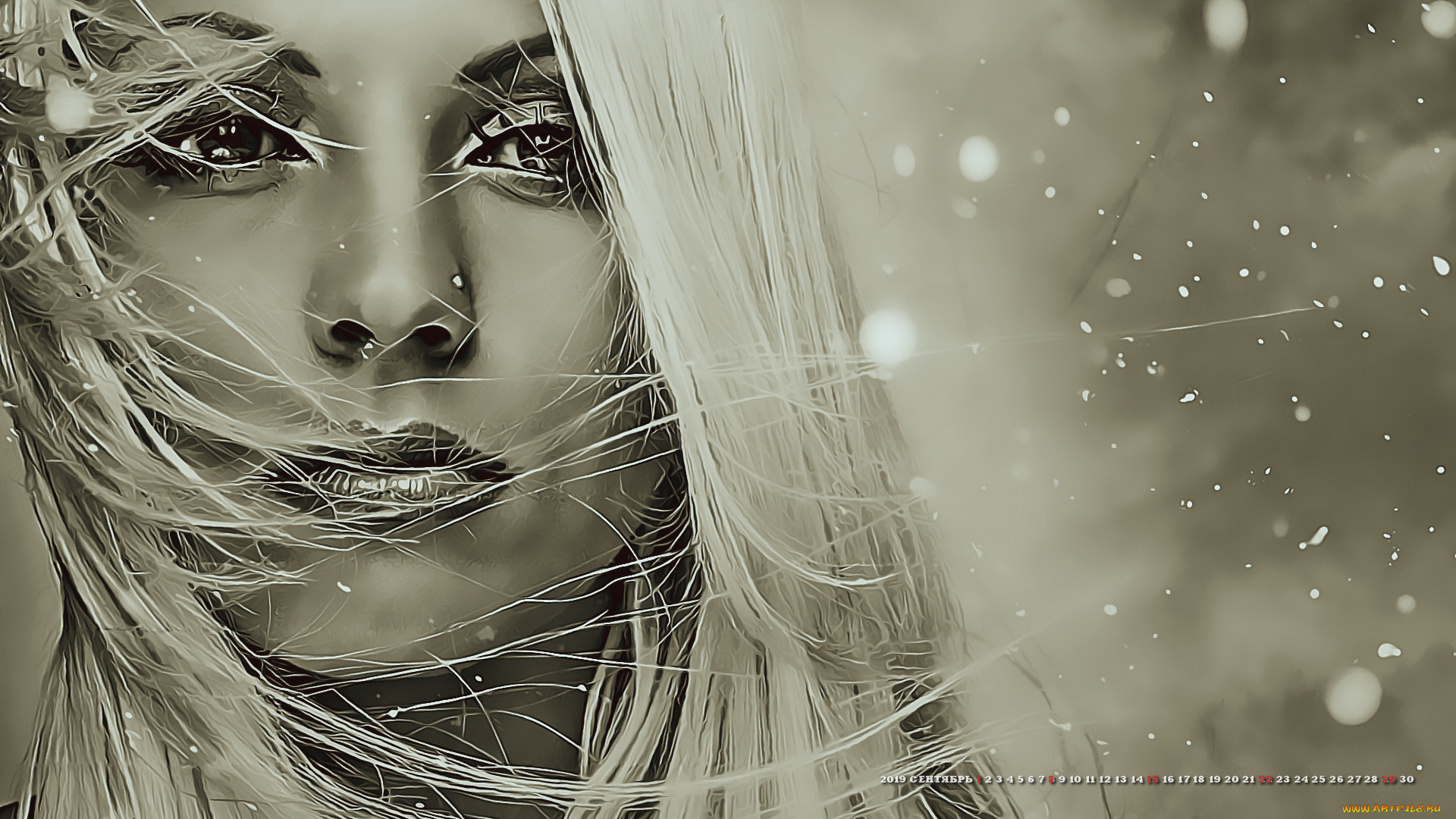 календари, компьютерный, дизайн, девушка, 2019, женщина, взгляд, лицо, боке, calendar