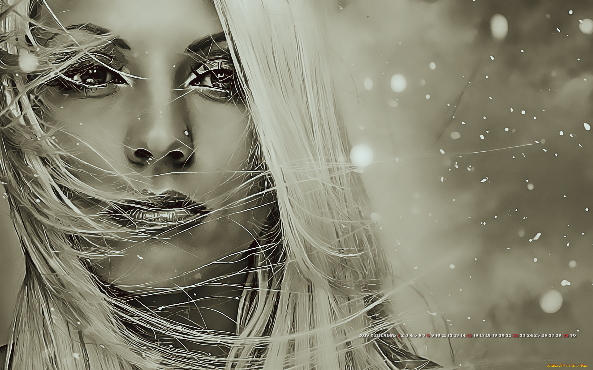 календари, компьютерный, дизайн, девушка, 2019, женщина, взгляд, лицо, боке, calendar