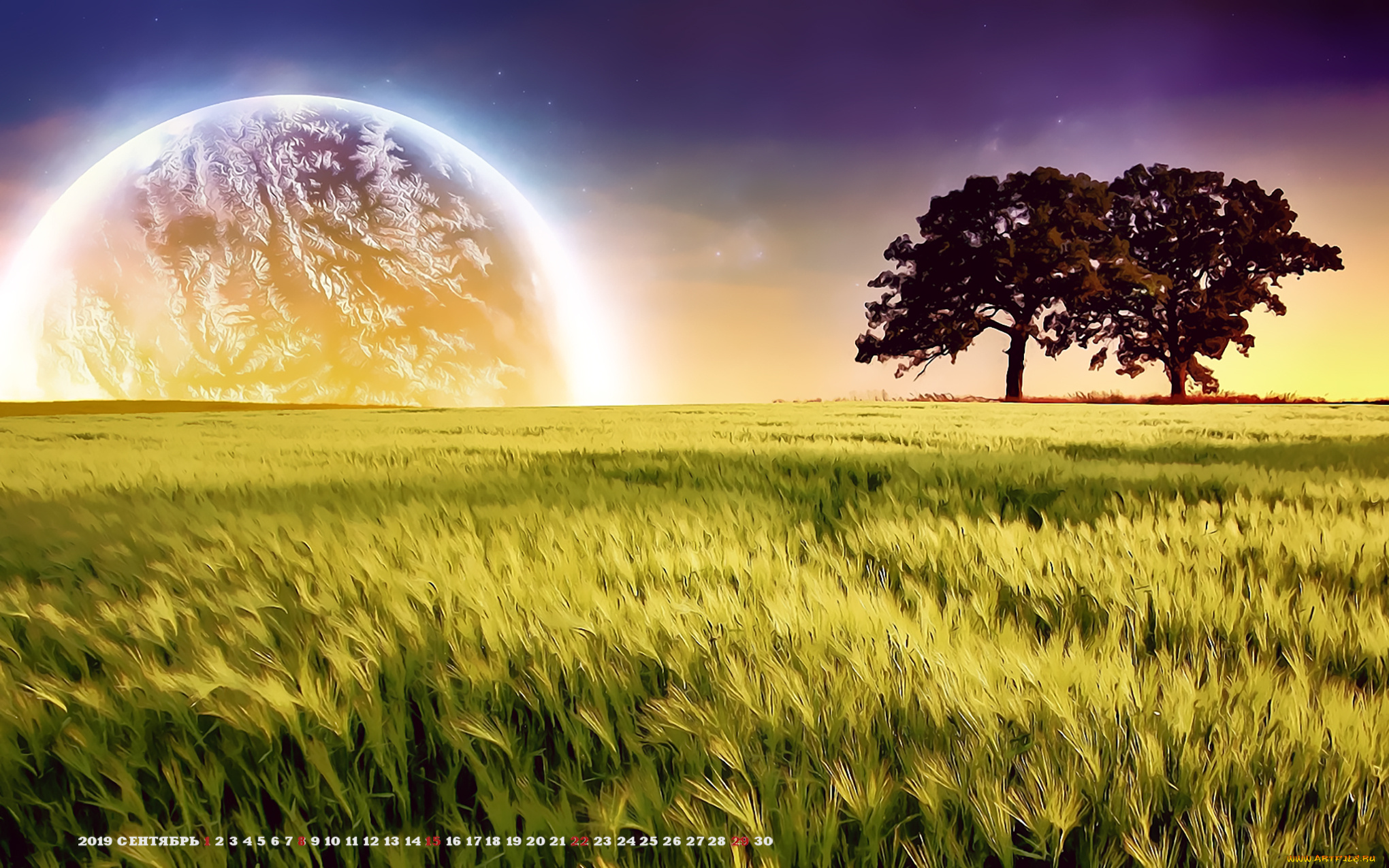 календари, компьютерный, дизайн, планета, дерево, трава, природа, растение, calendar, 2019