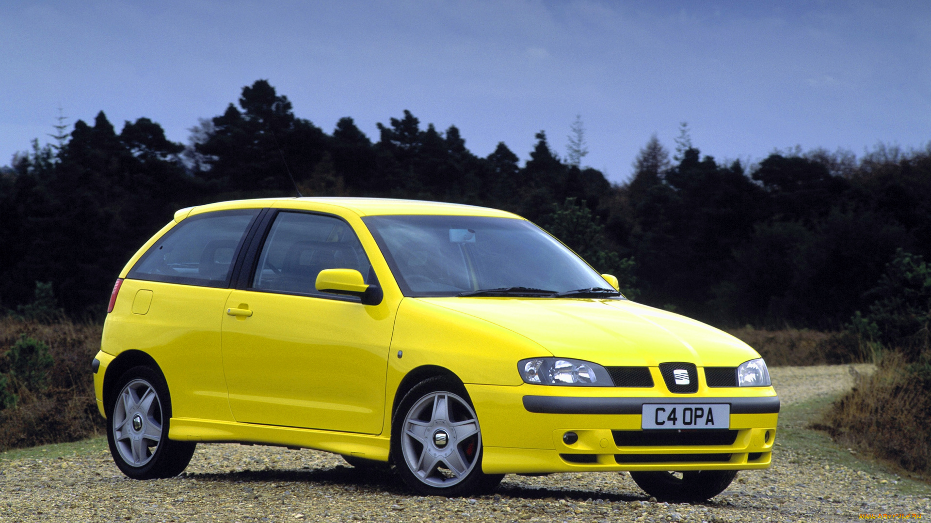 автомобили, seat