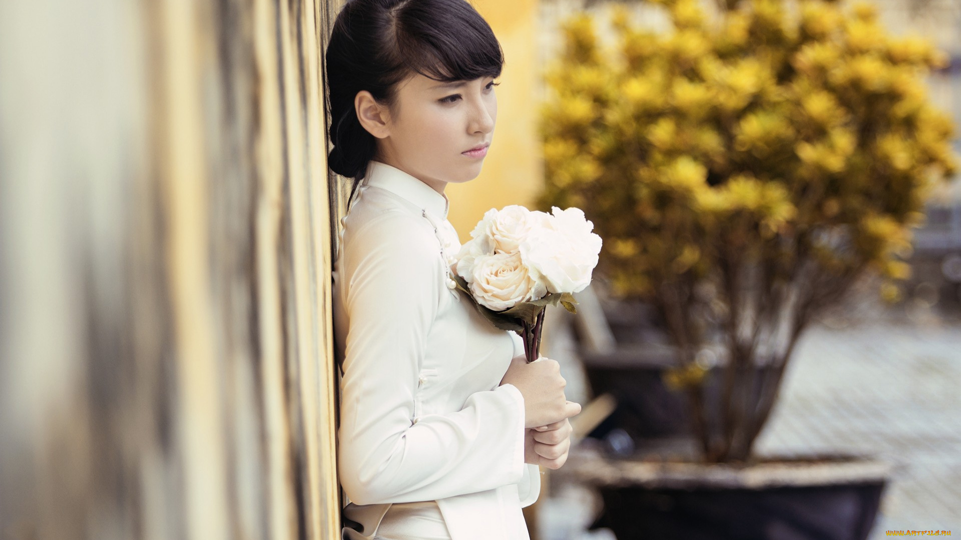 девушки, -, брюнетки, , шатенки, брюнетка, блузка, цветы, стена