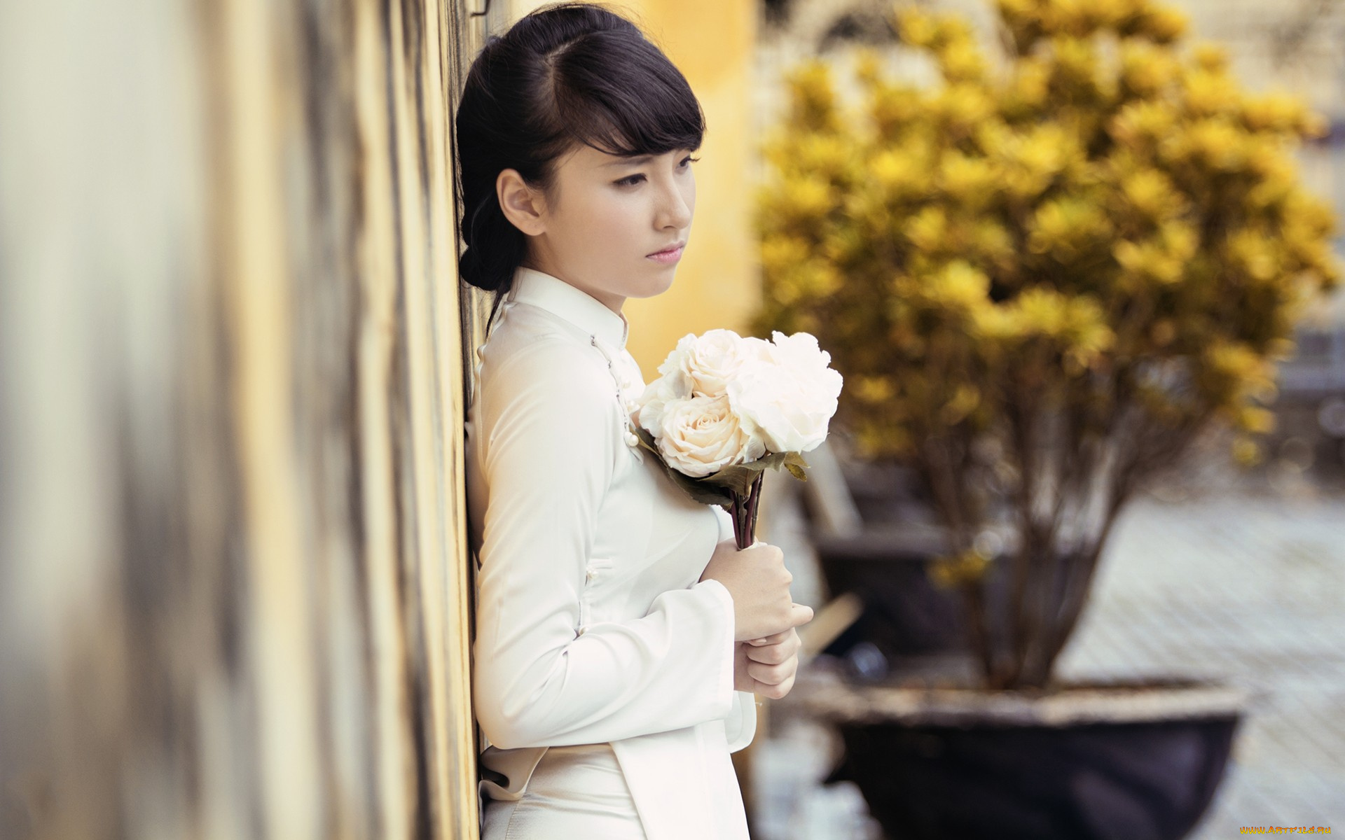 девушки, -, брюнетки, , шатенки, брюнетка, блузка, цветы, стена