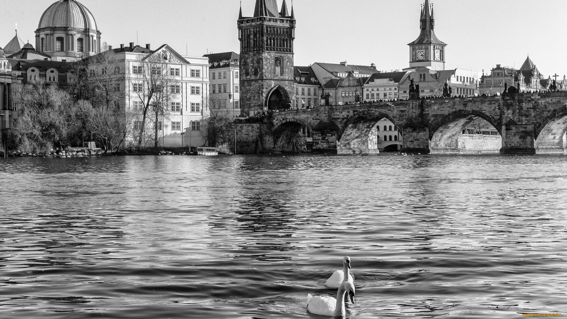 города, прага, , чехия, монохром