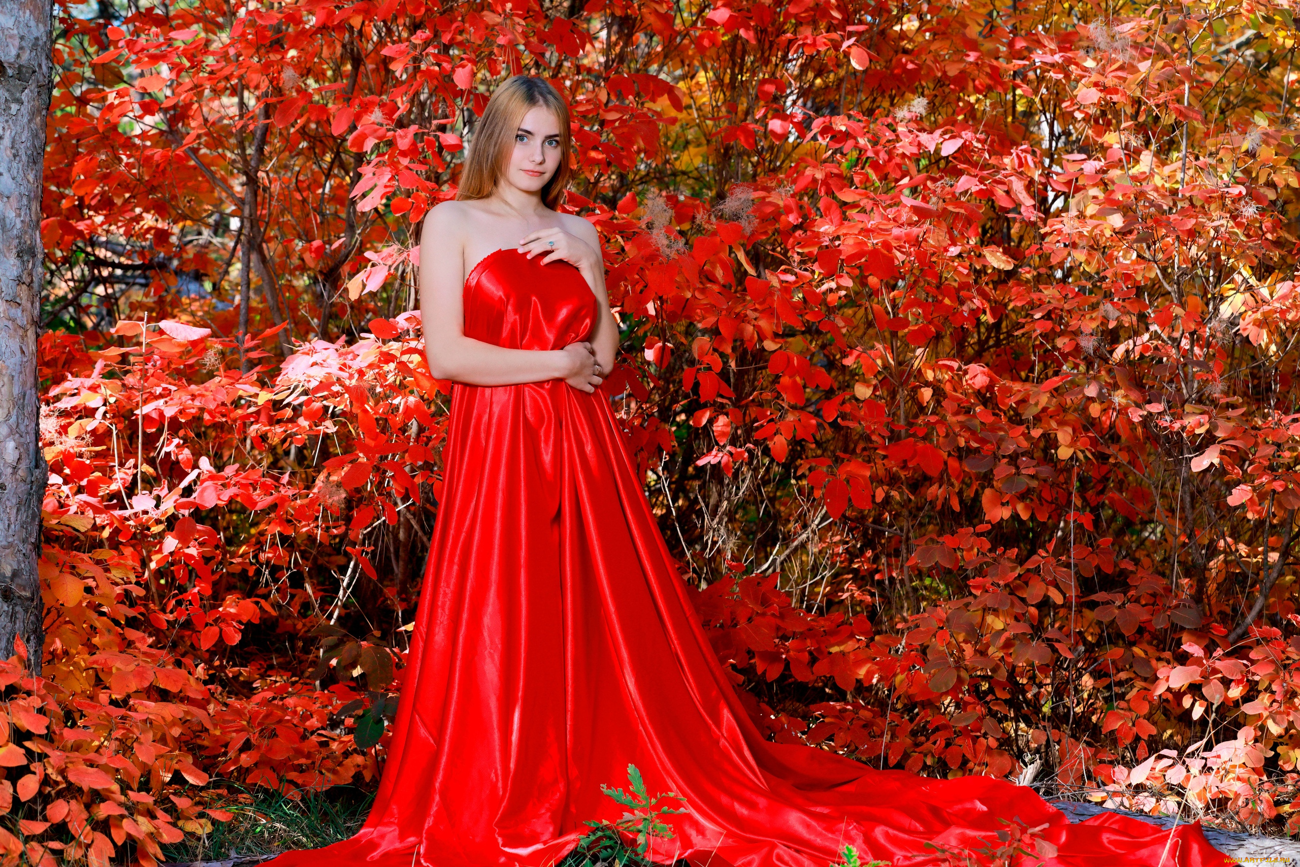 dakota, pink, девушки, девушка, шатенка, сексуальная, милая, модель, красивая, супер, сладкая, лапочка, симпатичная, классная, нежная, идеальная, яркая, игривая, великолепная, обаятельная, жгучая, спокойная, удивительная