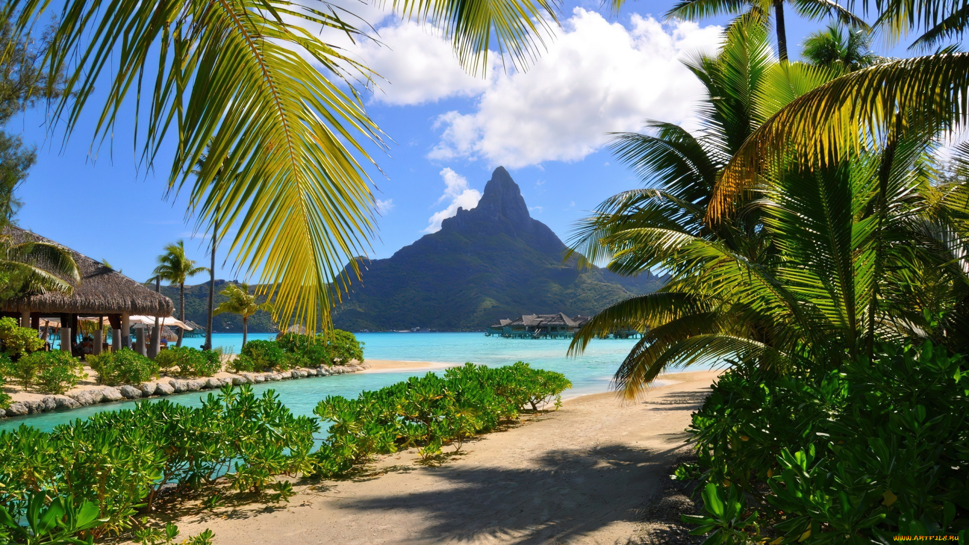 bora, bora, french, polynesia, природа, тропики, bora, french, polynesia