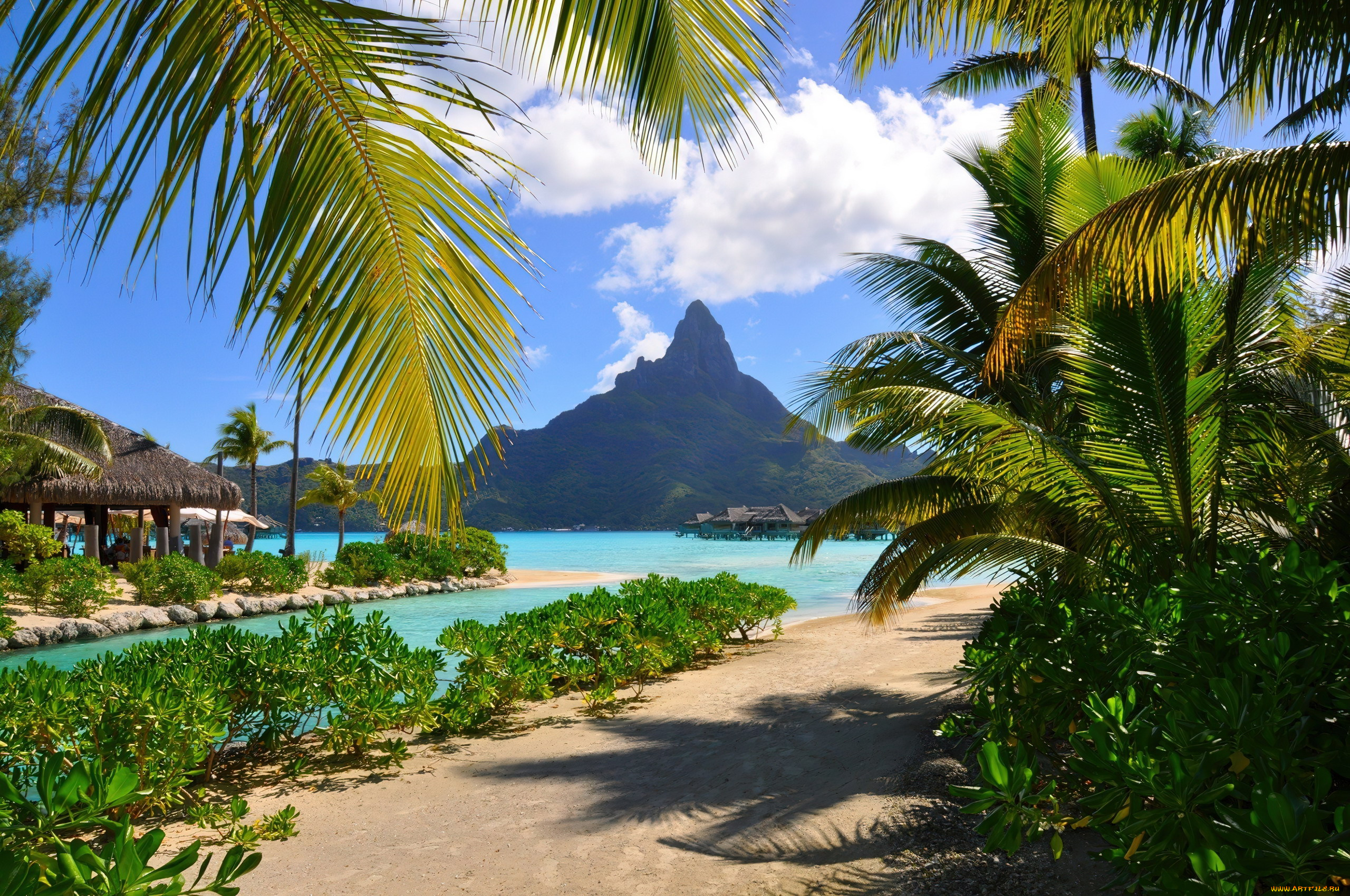 bora, bora, french, polynesia, природа, тропики, bora, french, polynesia