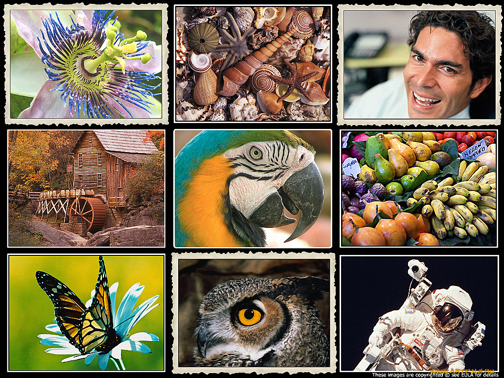 разное, другое