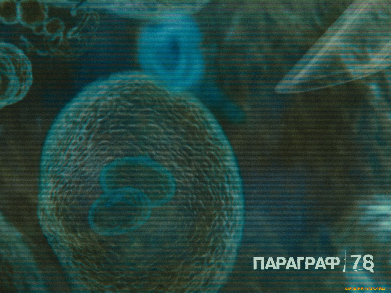 параграф78, кино, фильмы, параграф, 78