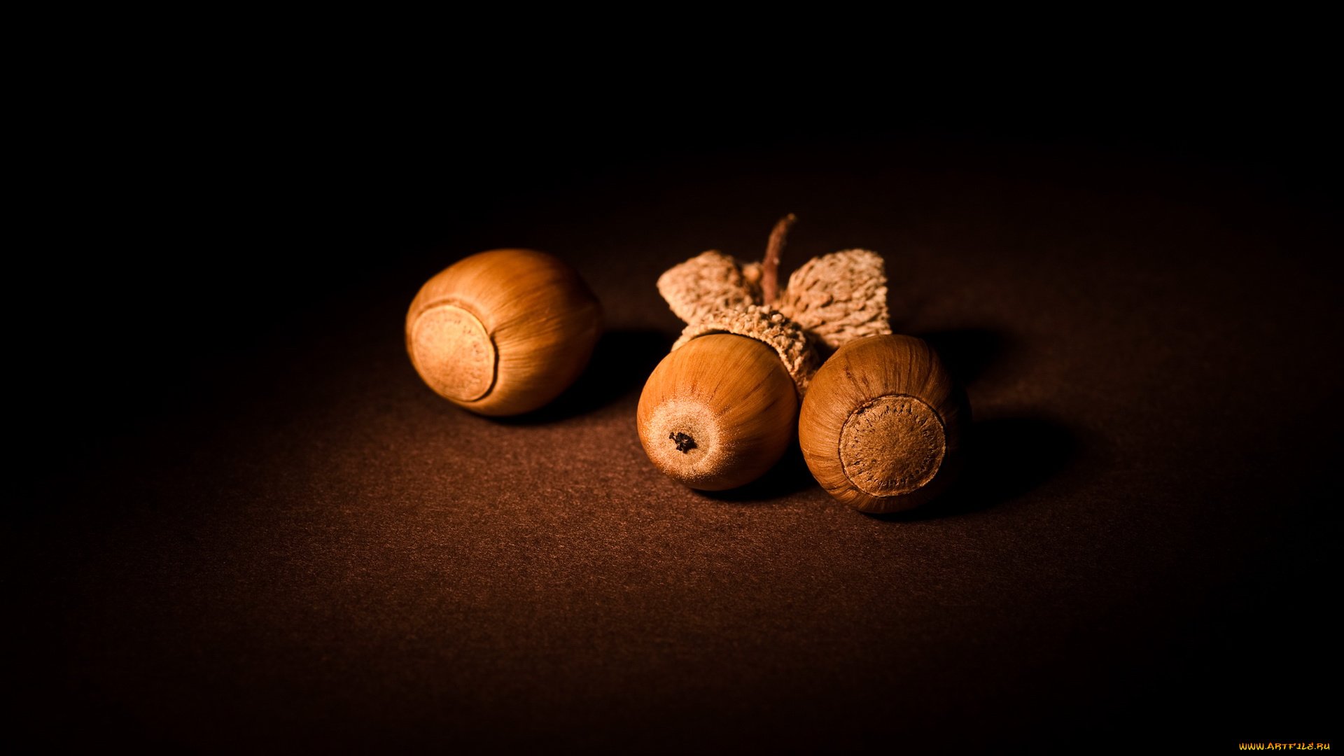 еда, орехи, каштаны