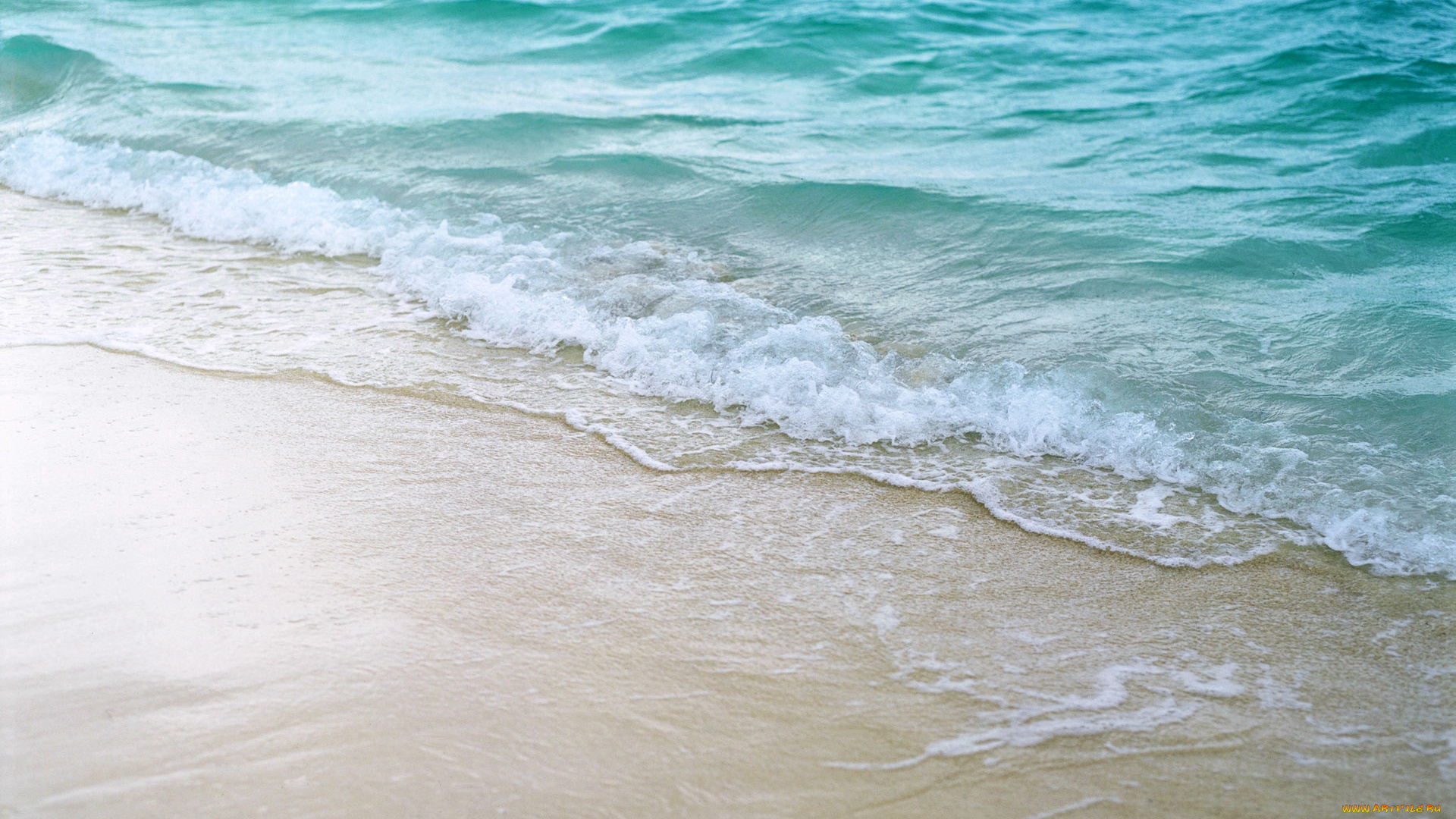 природа, моря, океаны