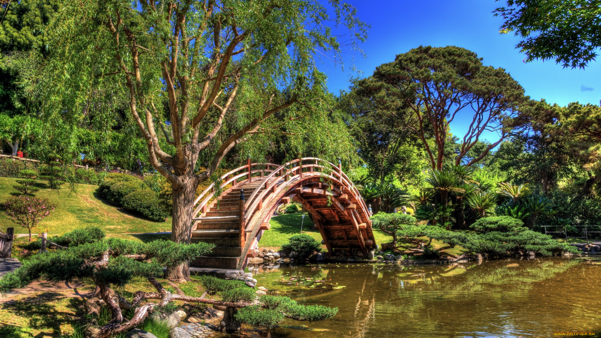 природа, парк