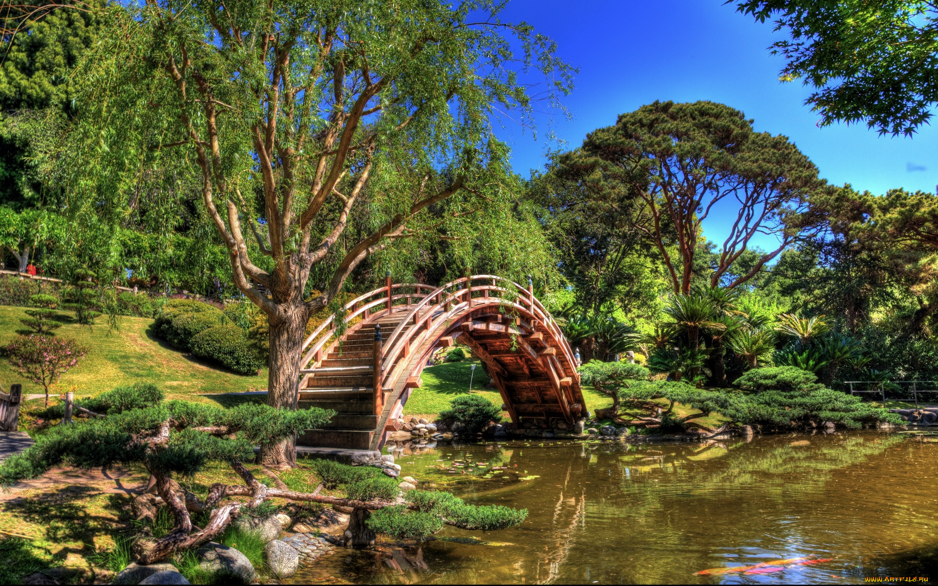 природа, парк