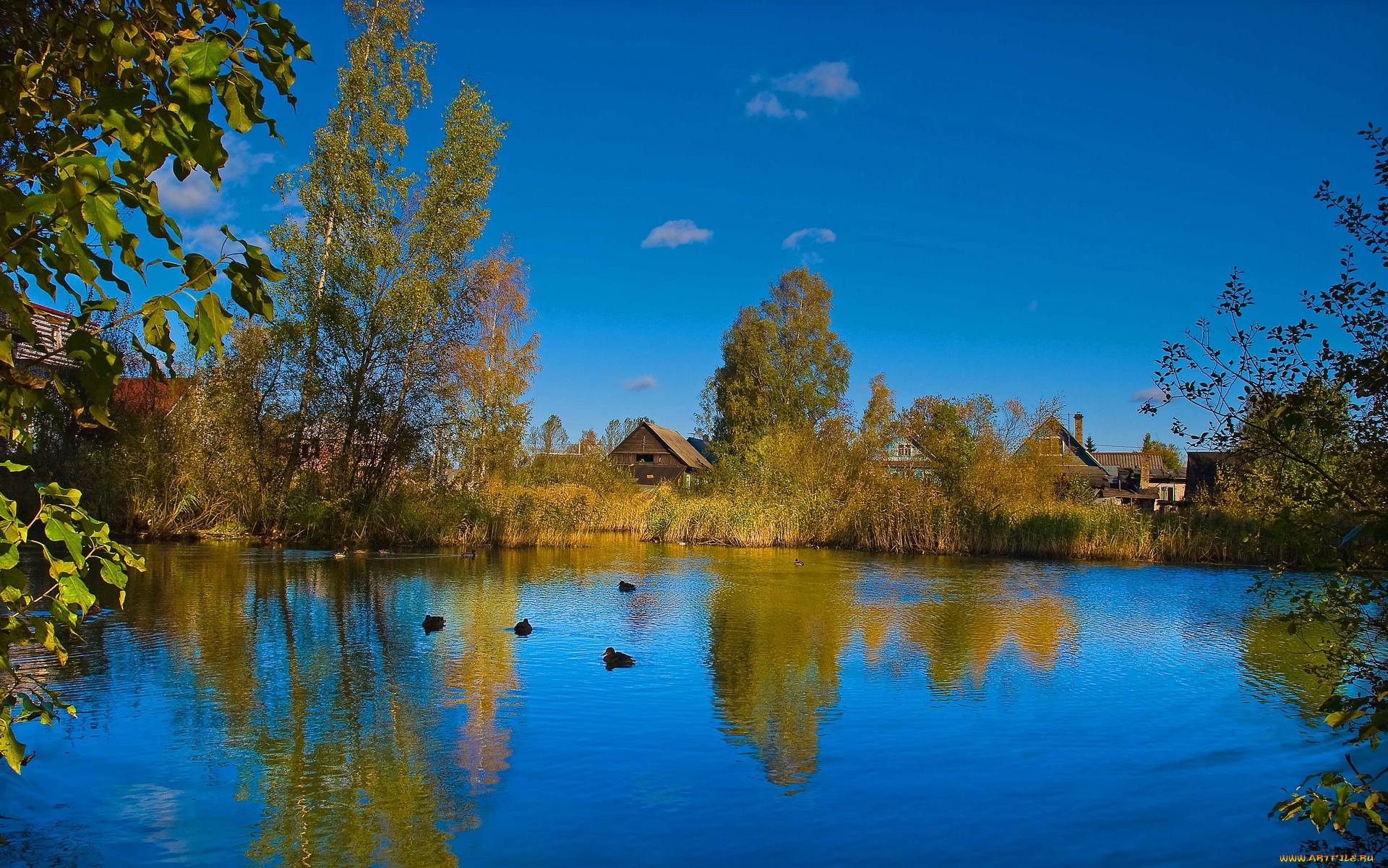 природа, реки, озера