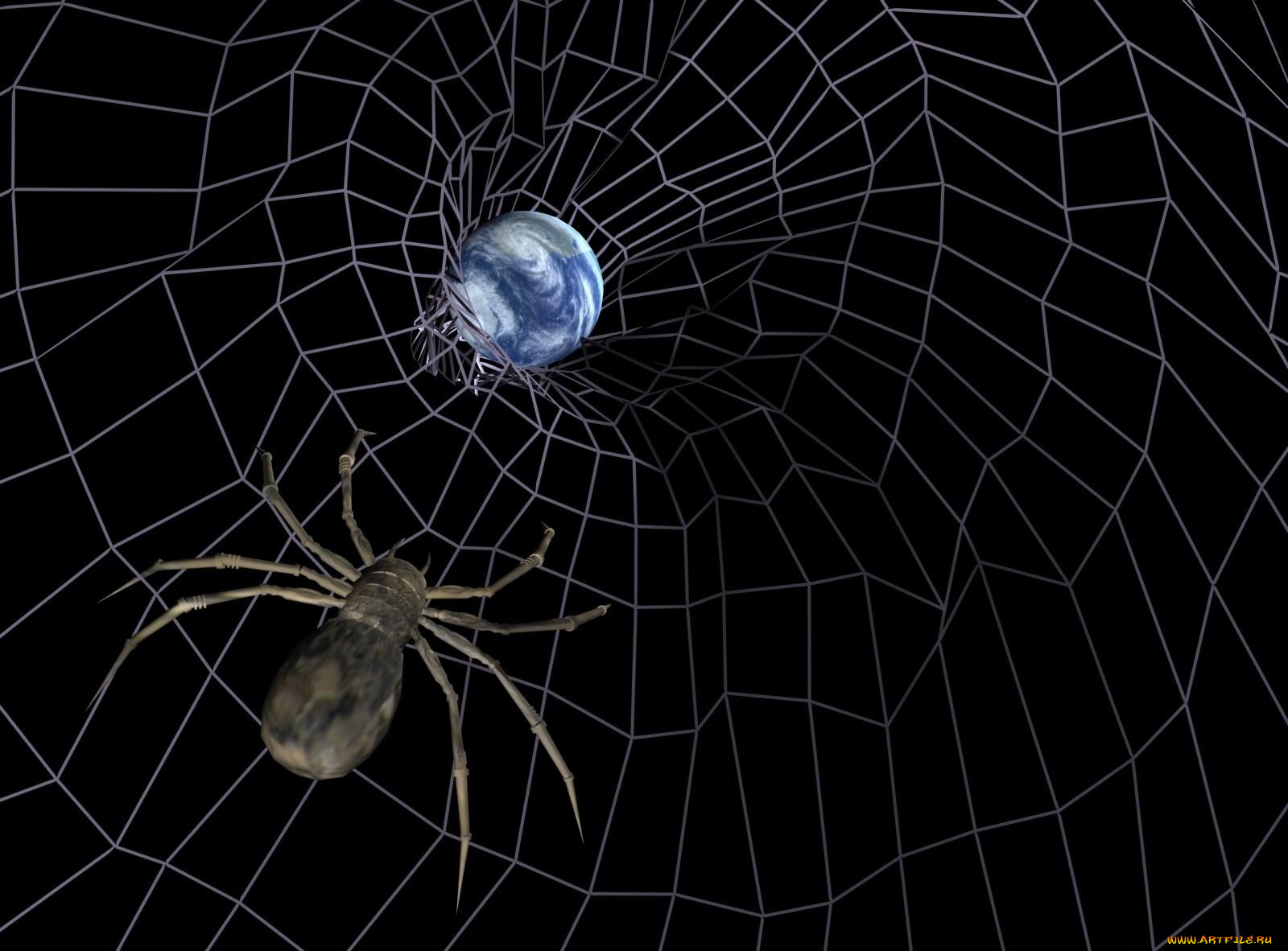 3д, графика, animals, животные, тёмный, паутина