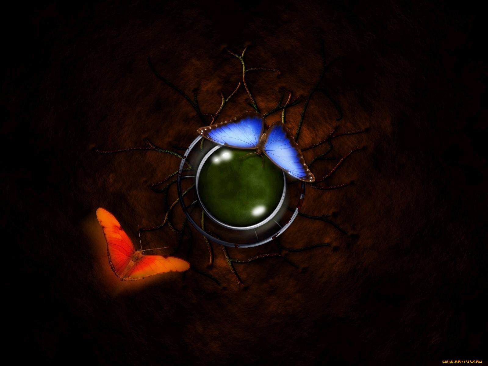 3д, графика, animals, животные, тёмный, бабочки